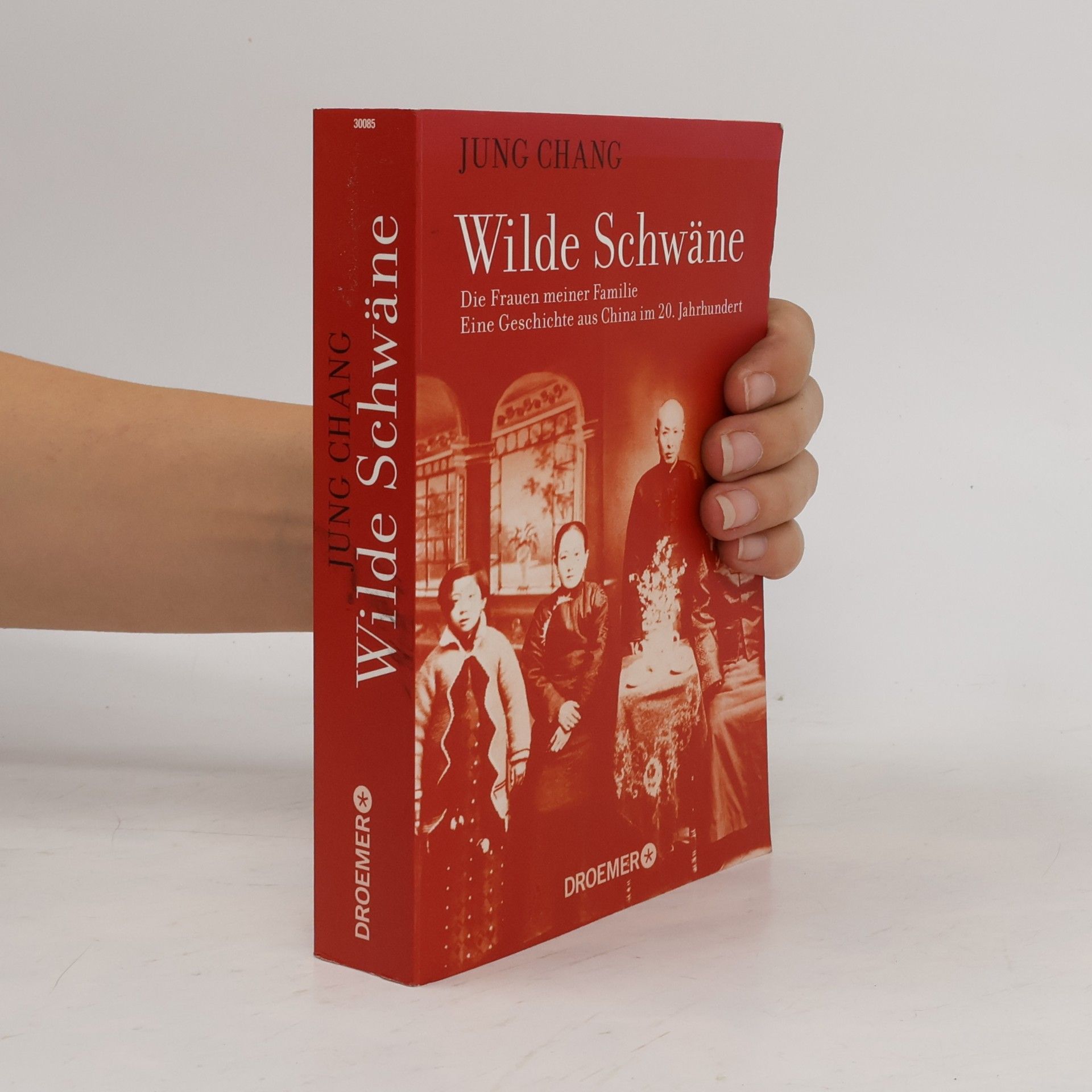 Jung Chang Wilde Schwäne