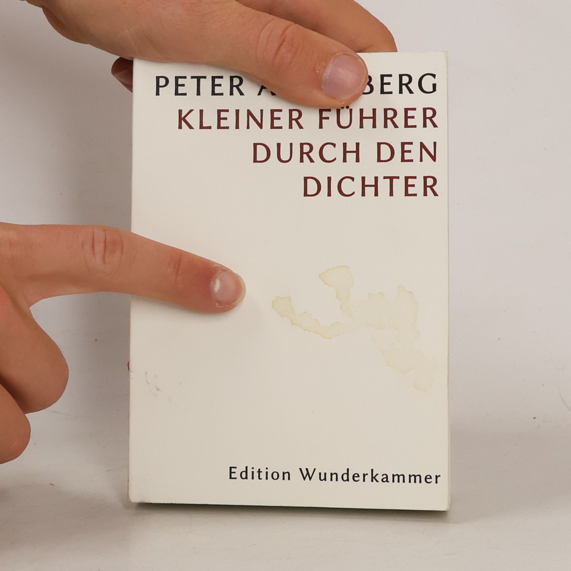 Peter Altenberg Kleiner Führer durch den Dichter