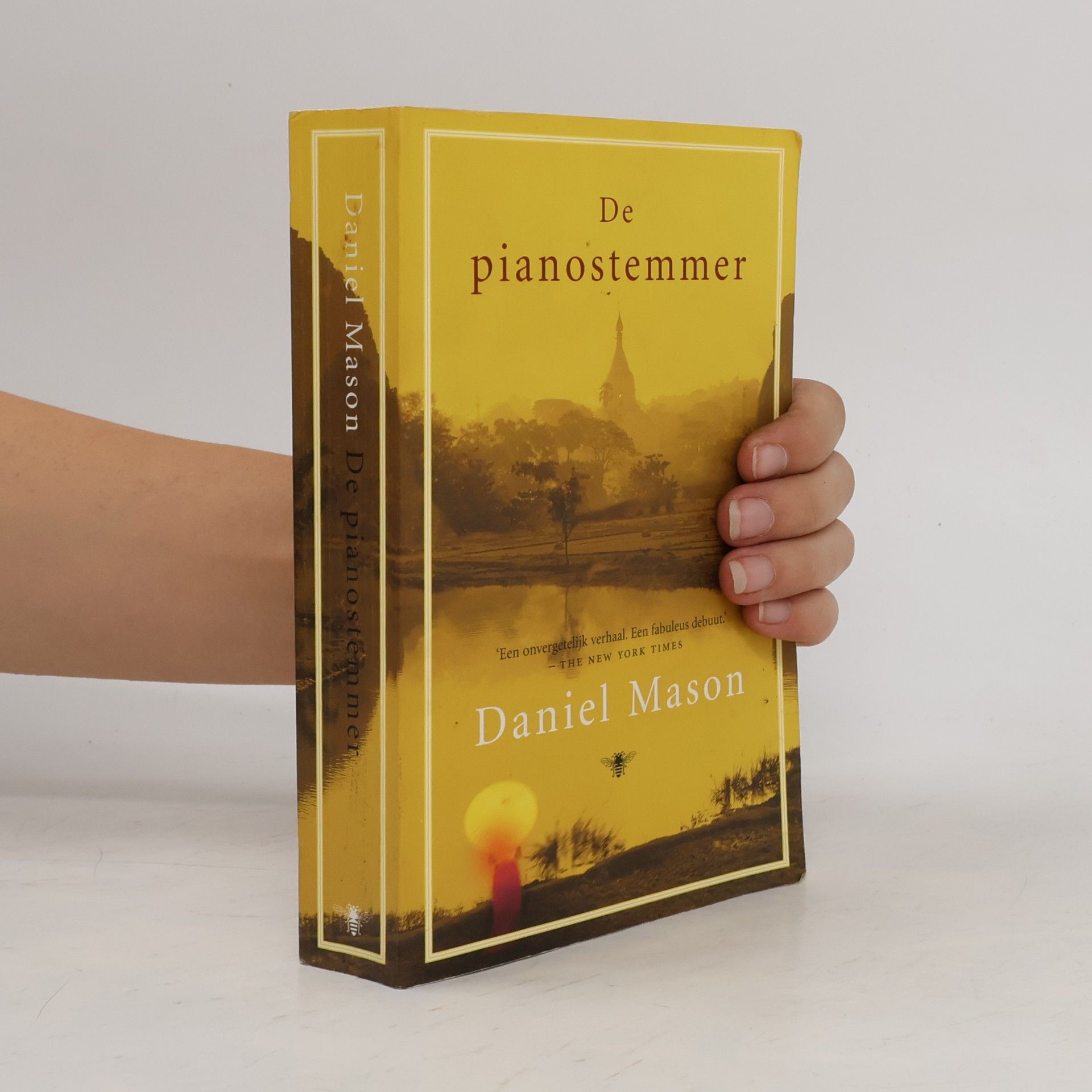 Daniel Mason De pianostemmer