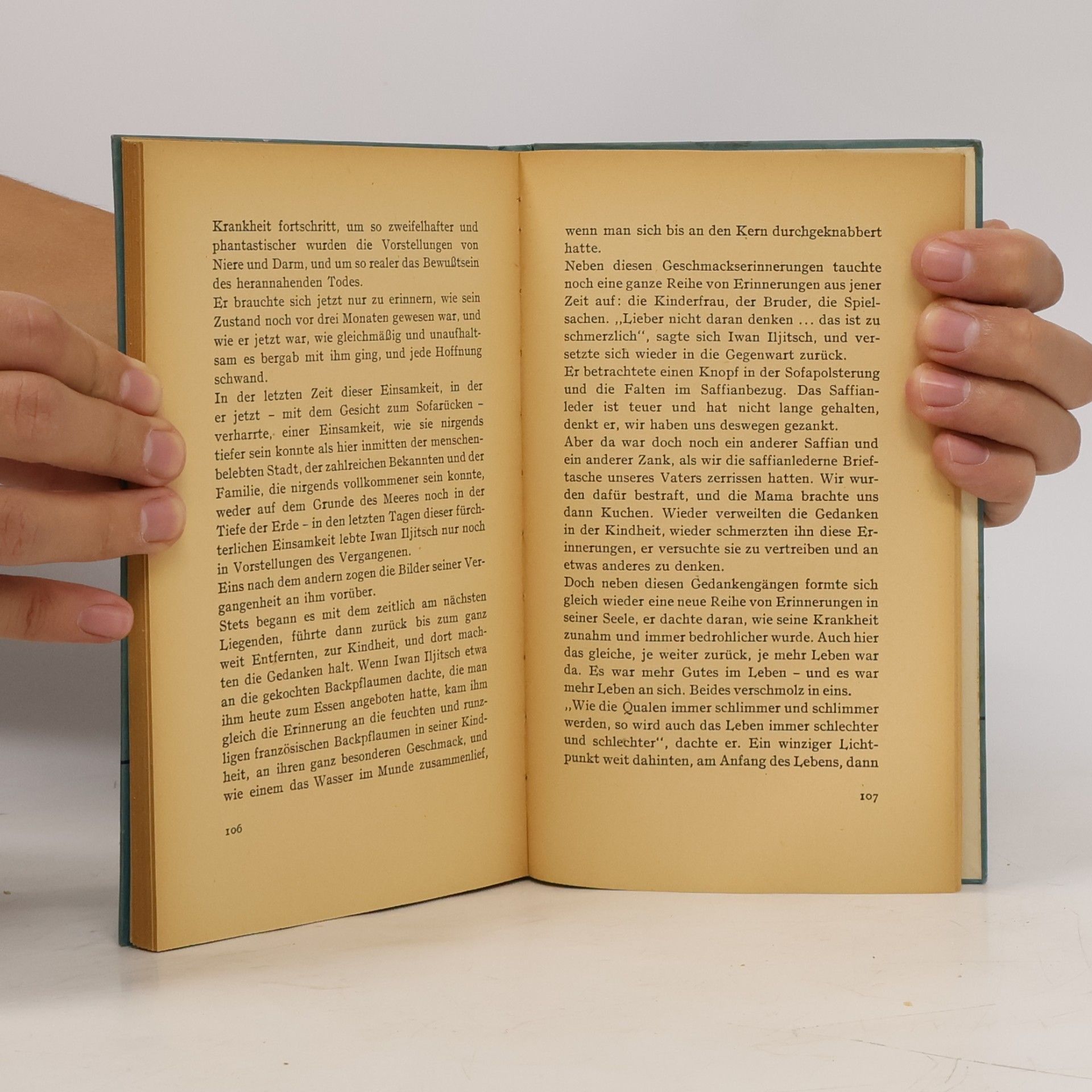 Tolstoi Der Tod des Iwan Iljitsch