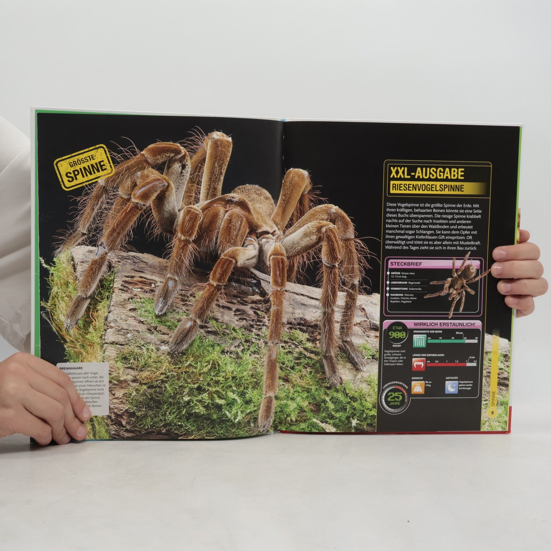 Various authors Super Insekten