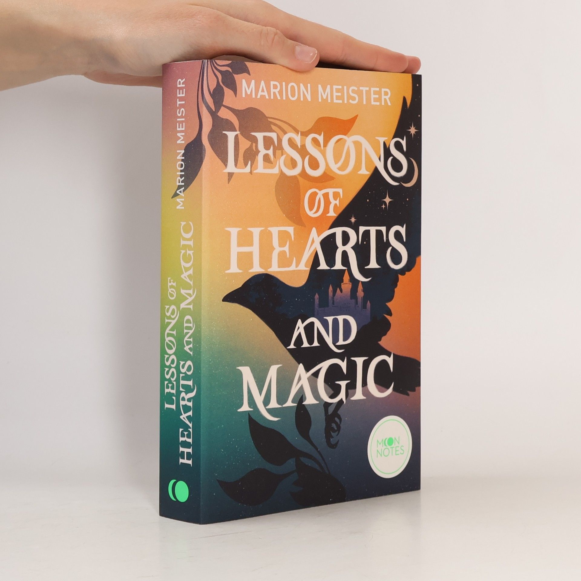 Lessons of Hearts and Magic