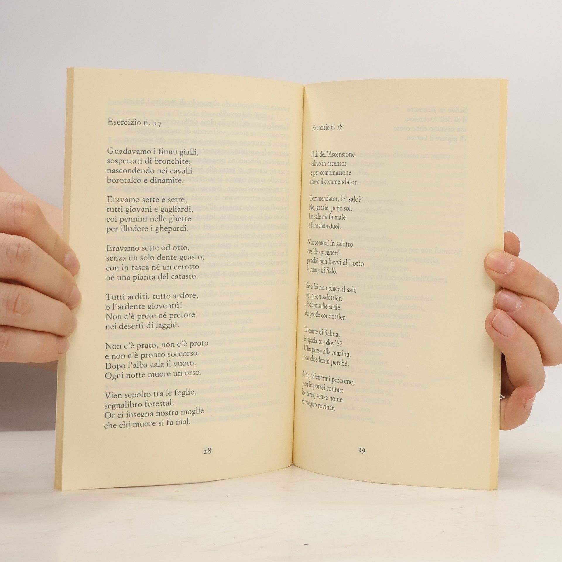 Gianni Rodari Il cavallo saggio. Poesie, epigrafi, esercizi (Einaudi tascabili. Pop, Band 1679)