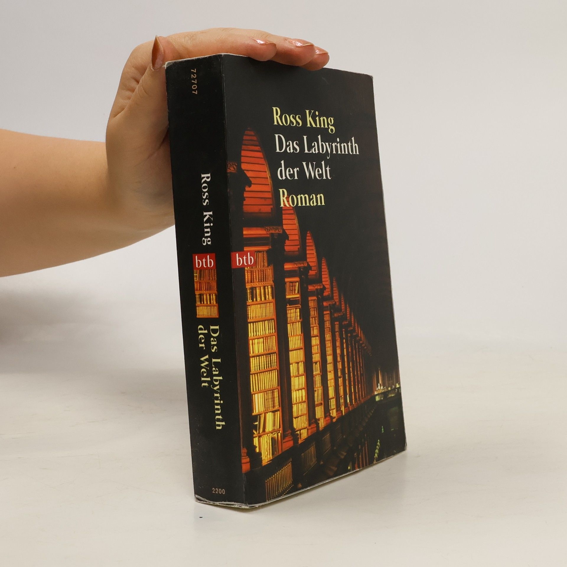 Ross King Das Labyrinth der Welt