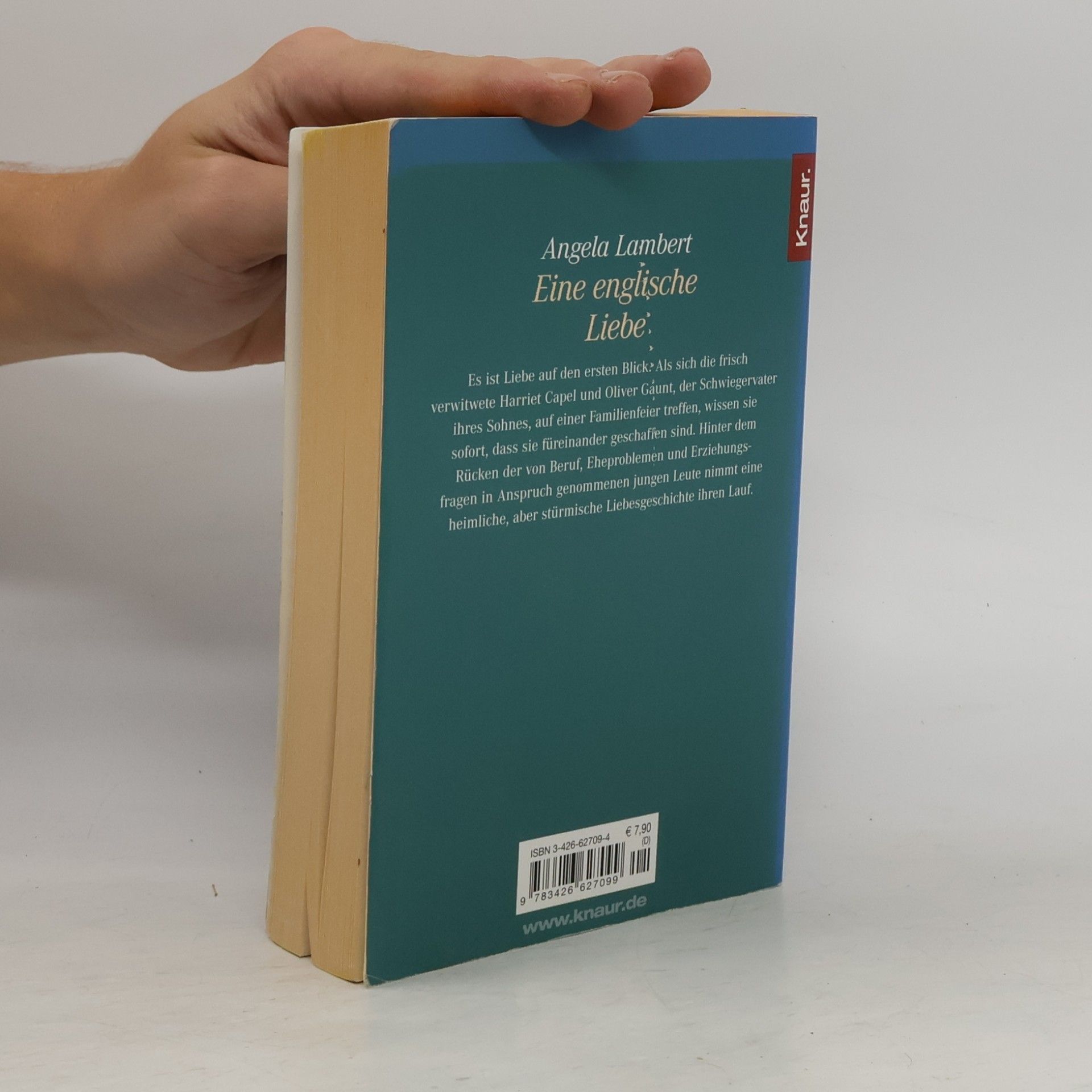 Angela Lambert Eine englische Liebe