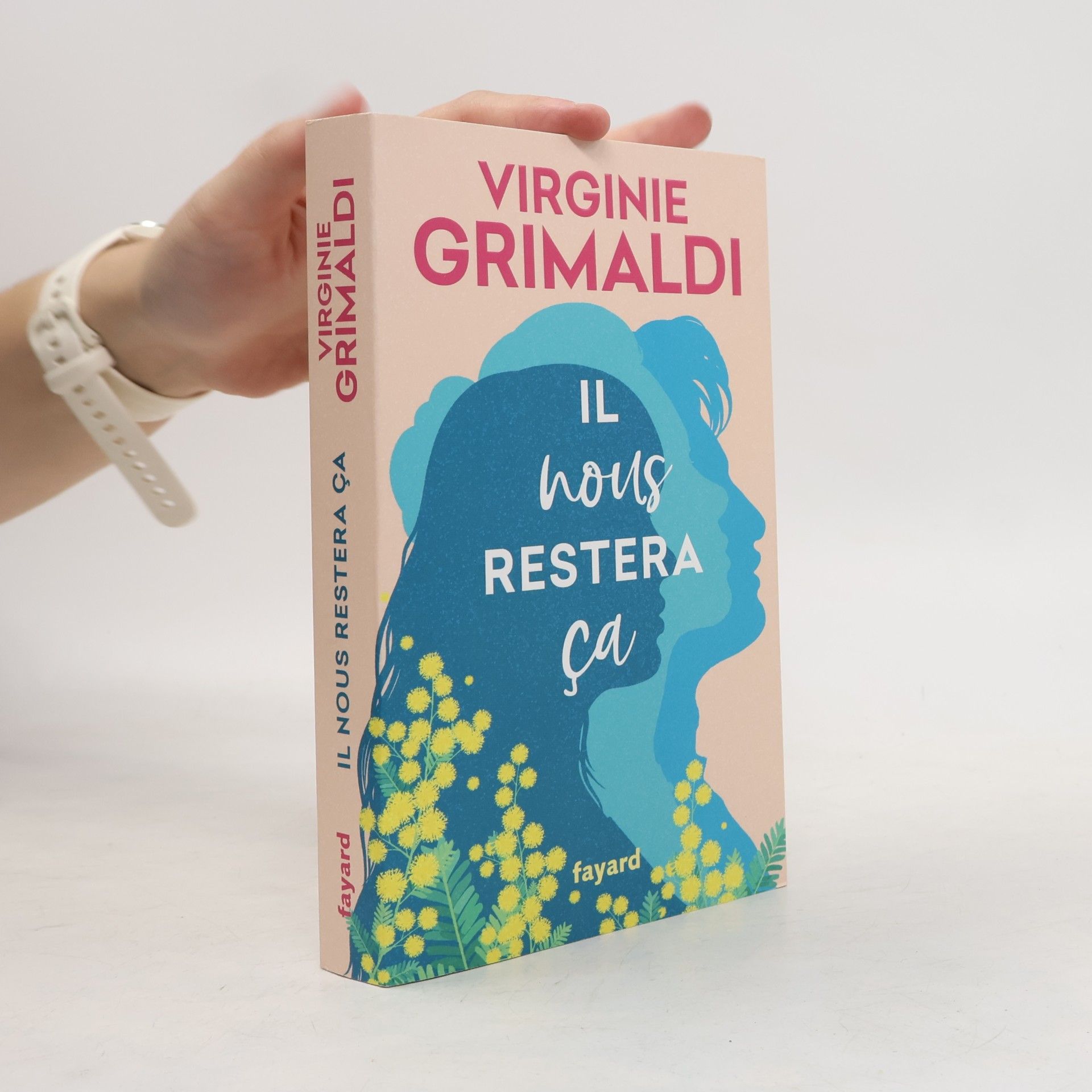 Virginie Grimaldi Il nous restera ça