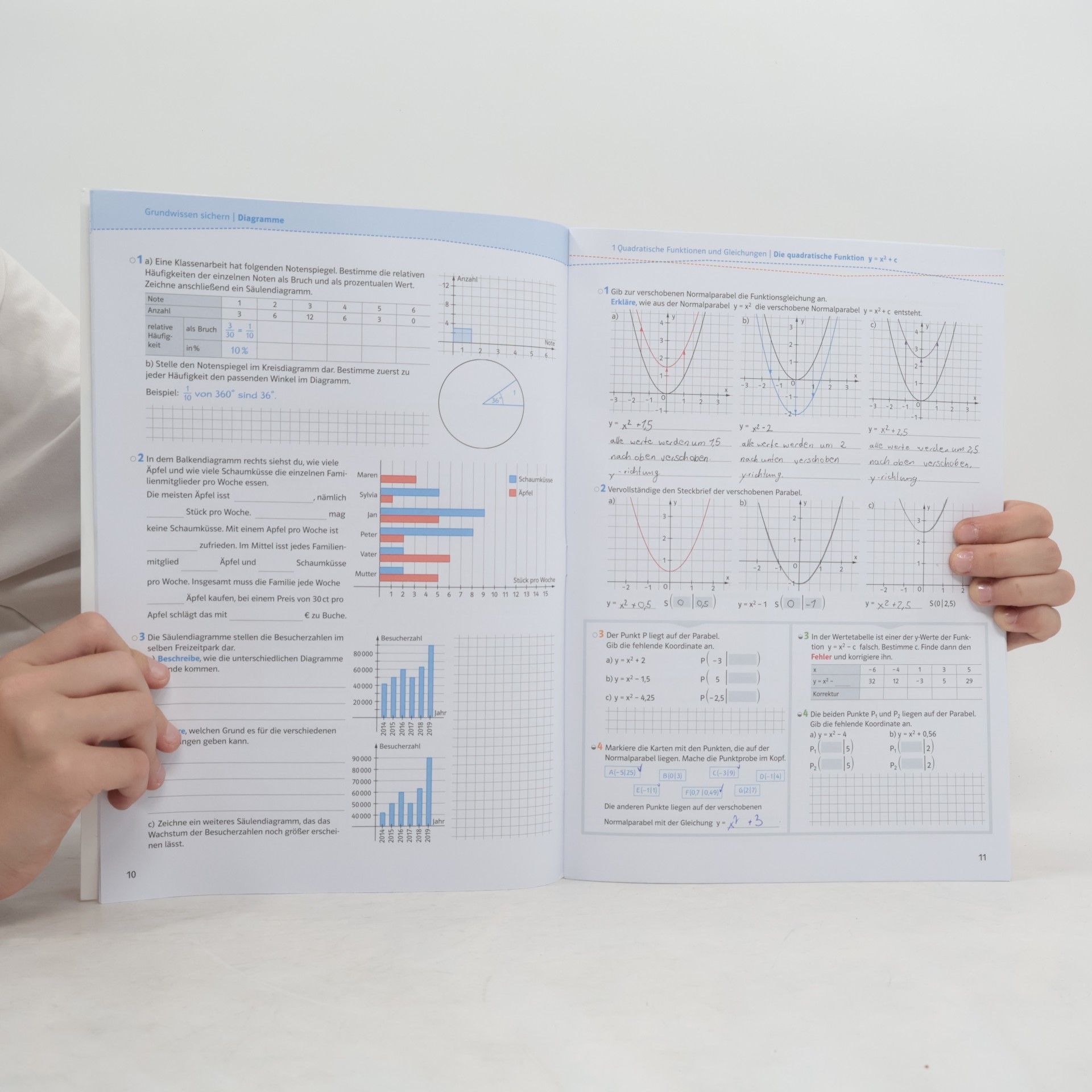 Schnittpunkt Mathematik 10. Differenzierende Ausgabe Rheinland-Pfalz und Saarland: Arbeitsheft mit Lösungsheft und Lernsoftware Klasse 10 ... für Rheinland-Pfalz und Saarland ab 2016)