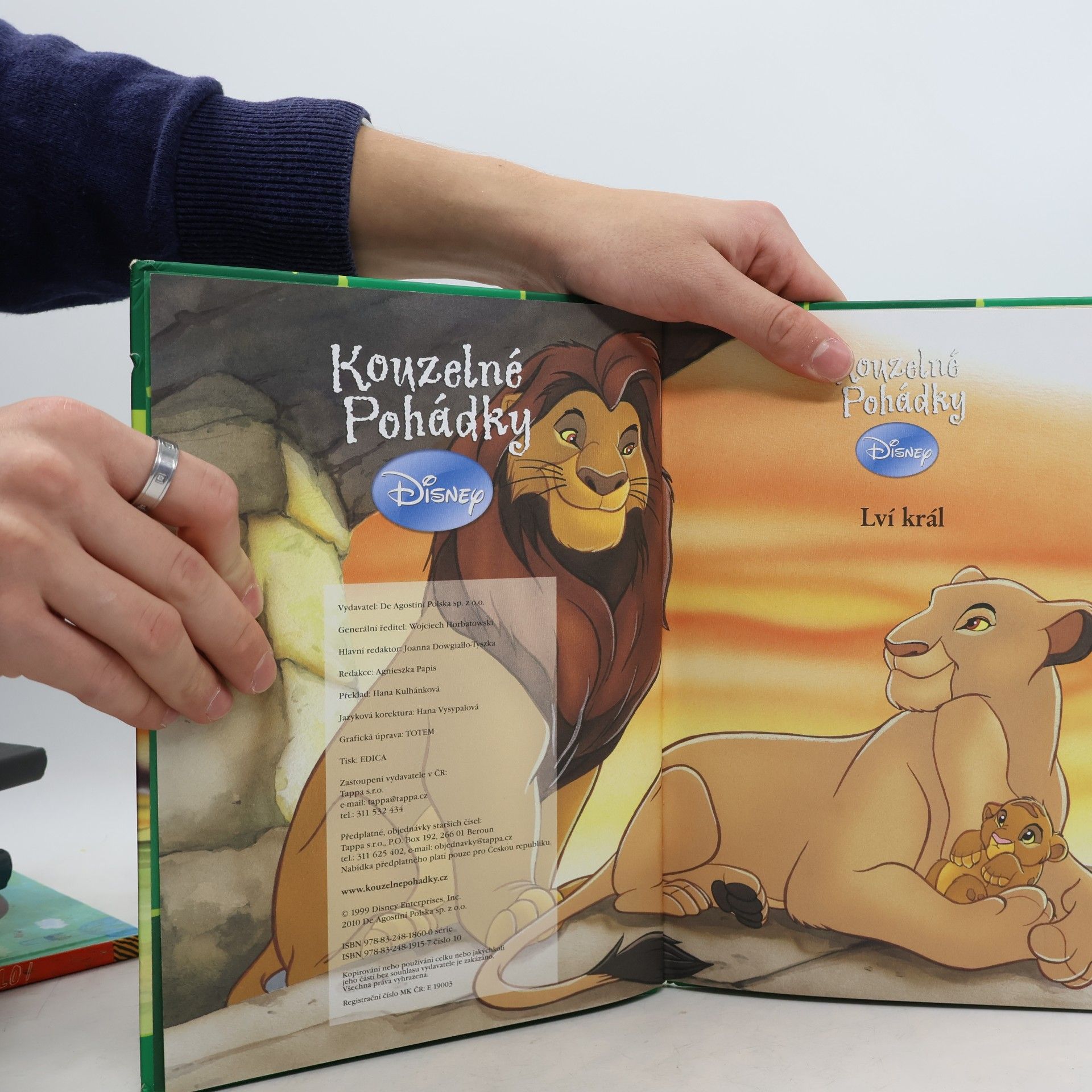 Kolektiv autorů Kouzelné pohádky 10. Lví král