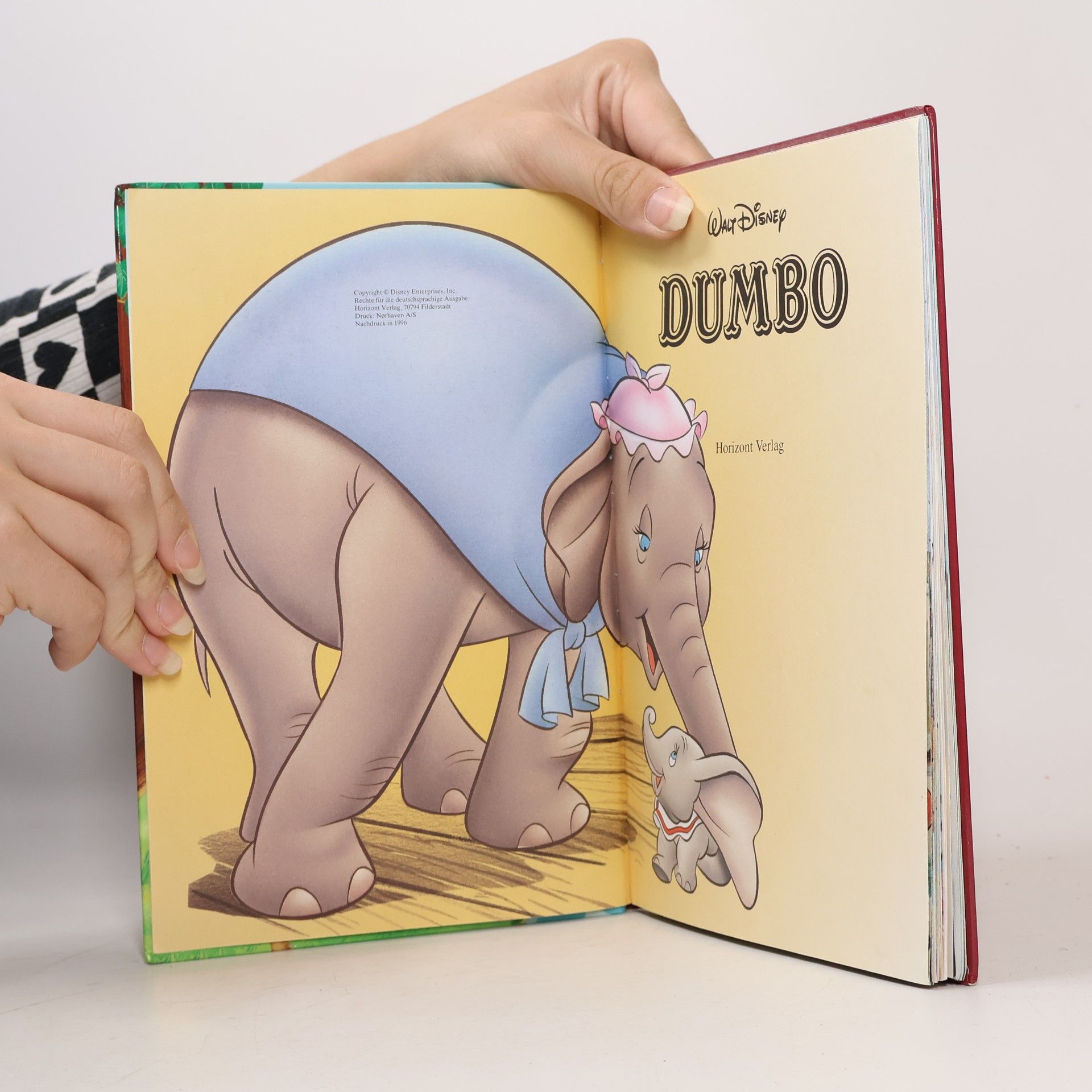 Autorenkollektiv Dumbo