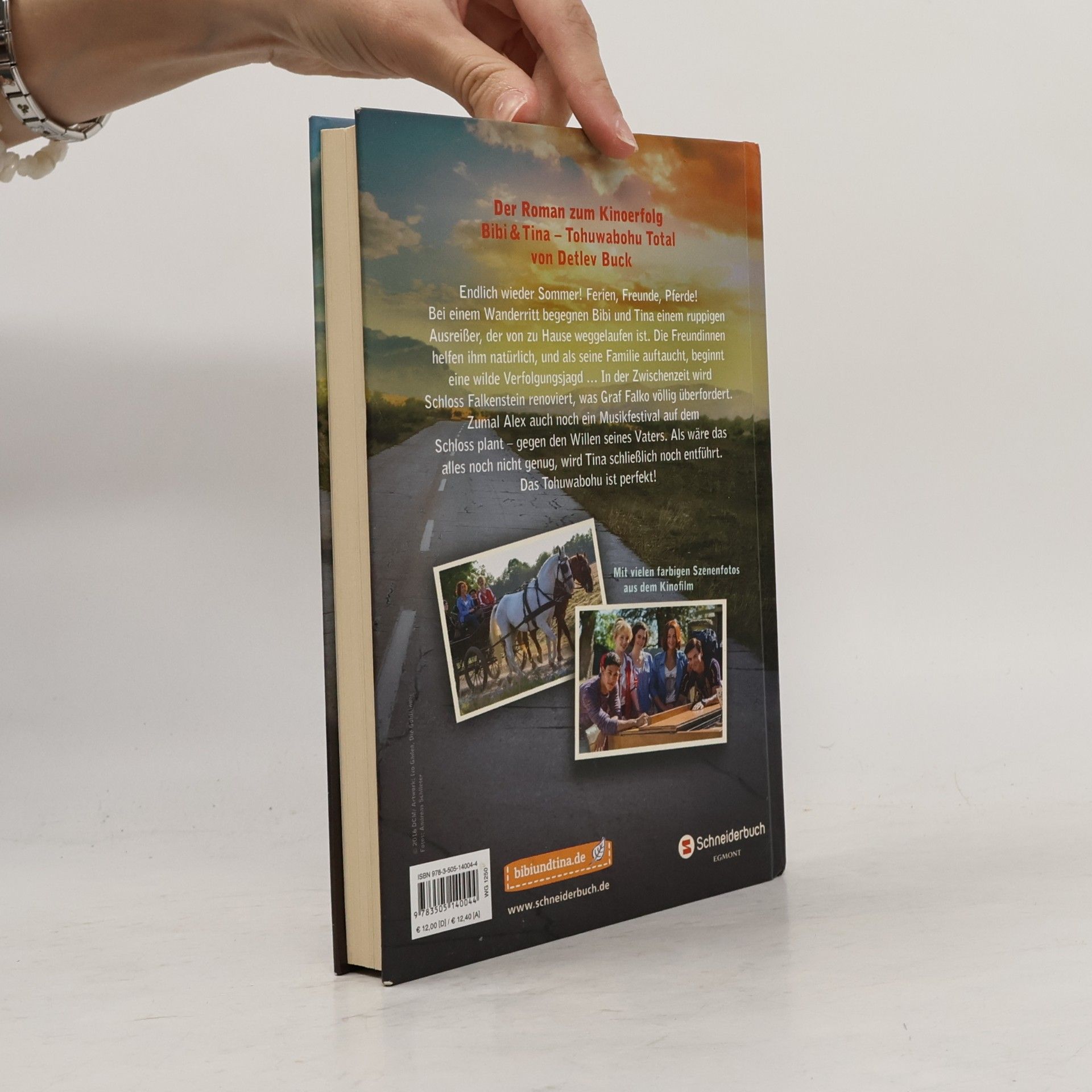 Bettina Börgerding Bibi & Tina Tohuwabohu Total Das buch zum film