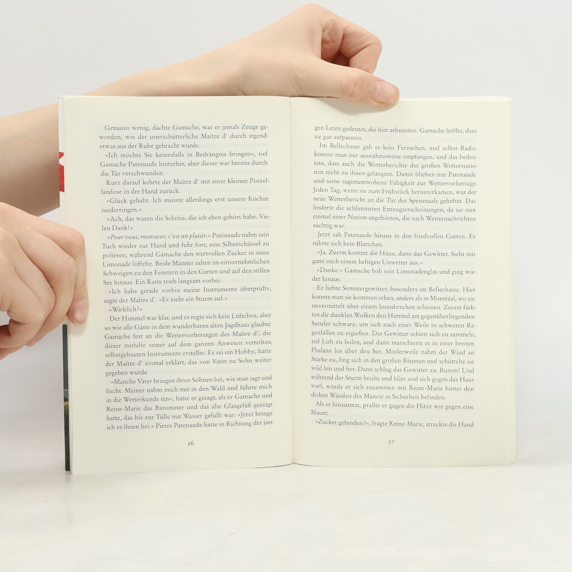 Louise Penny Lange Schatten