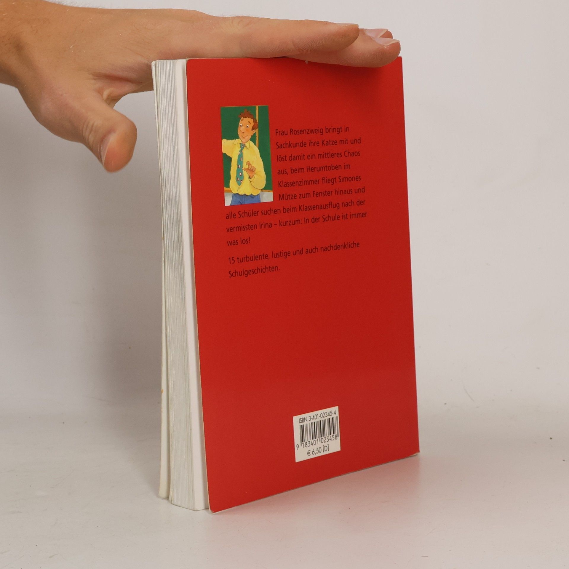 Anne Steinwart Das große Buch der Schulgeschichten