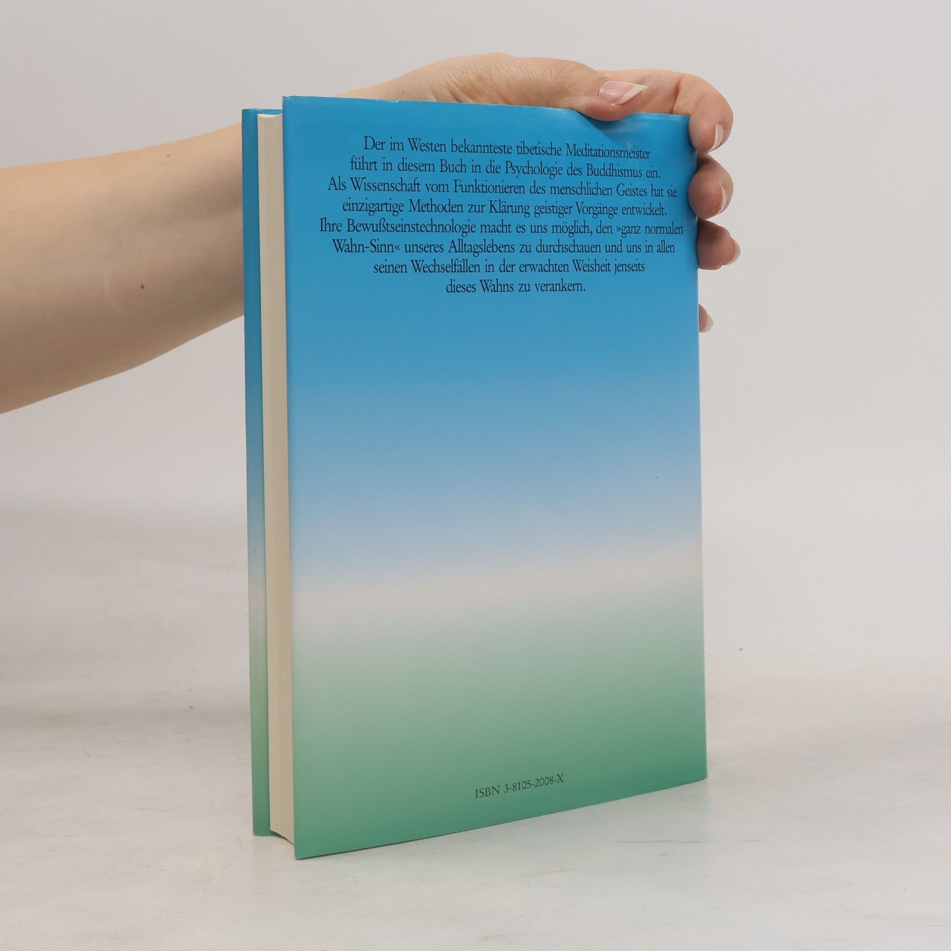 Chögyam Trungpa Die Insel des Jetzt im Strom der Zeit