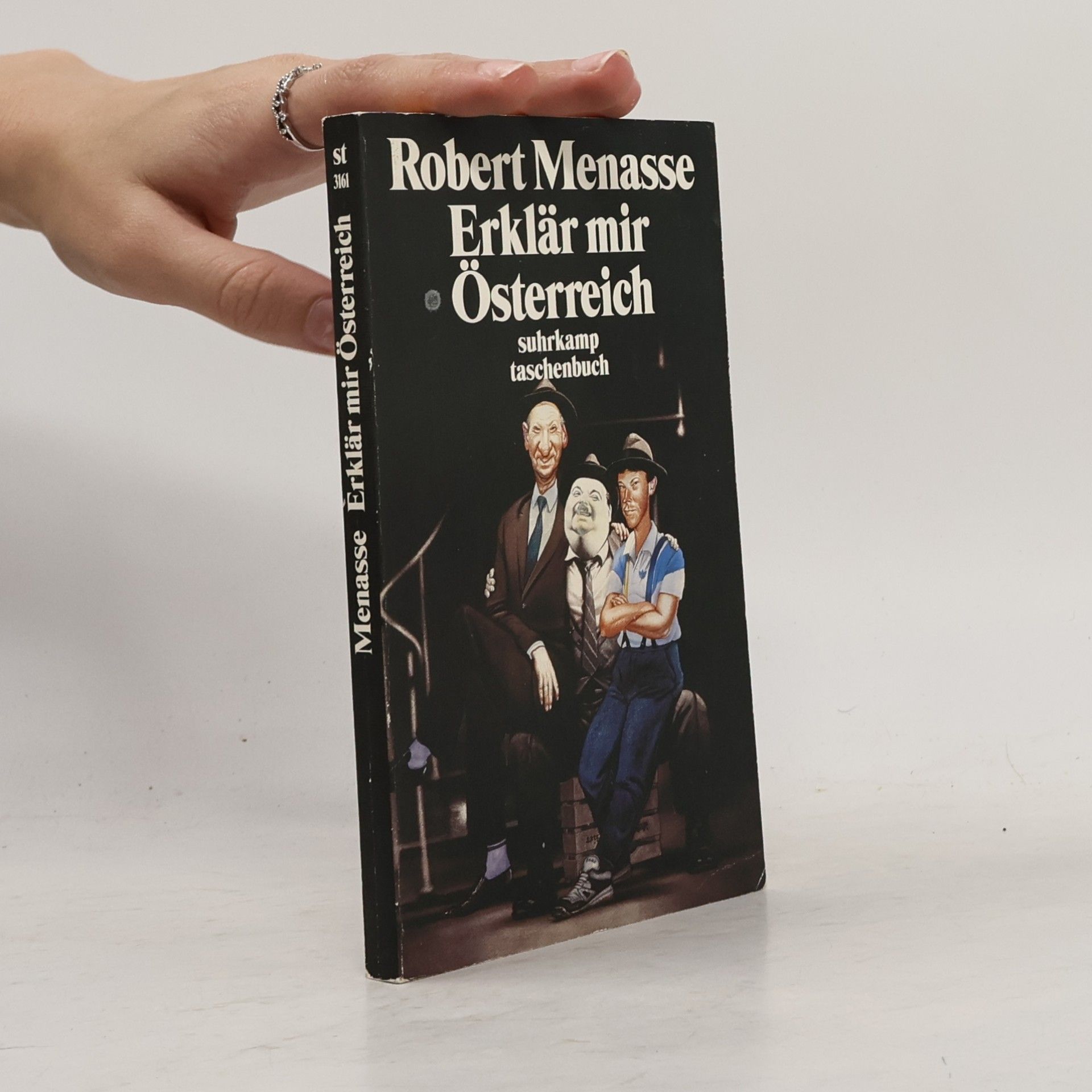Erklär mir Österreich