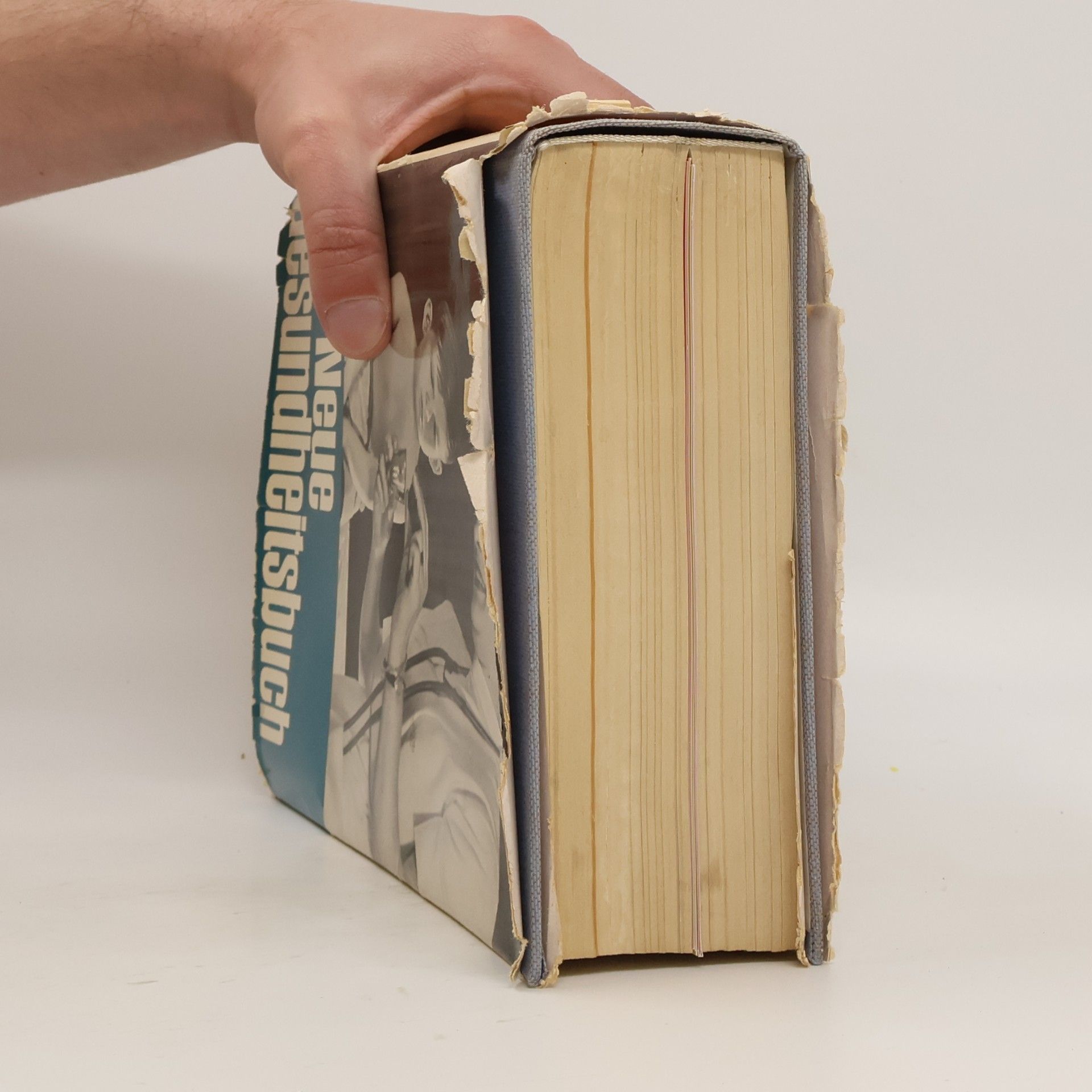 Autorenkollektiv Das Neue Gesundheitsbuch