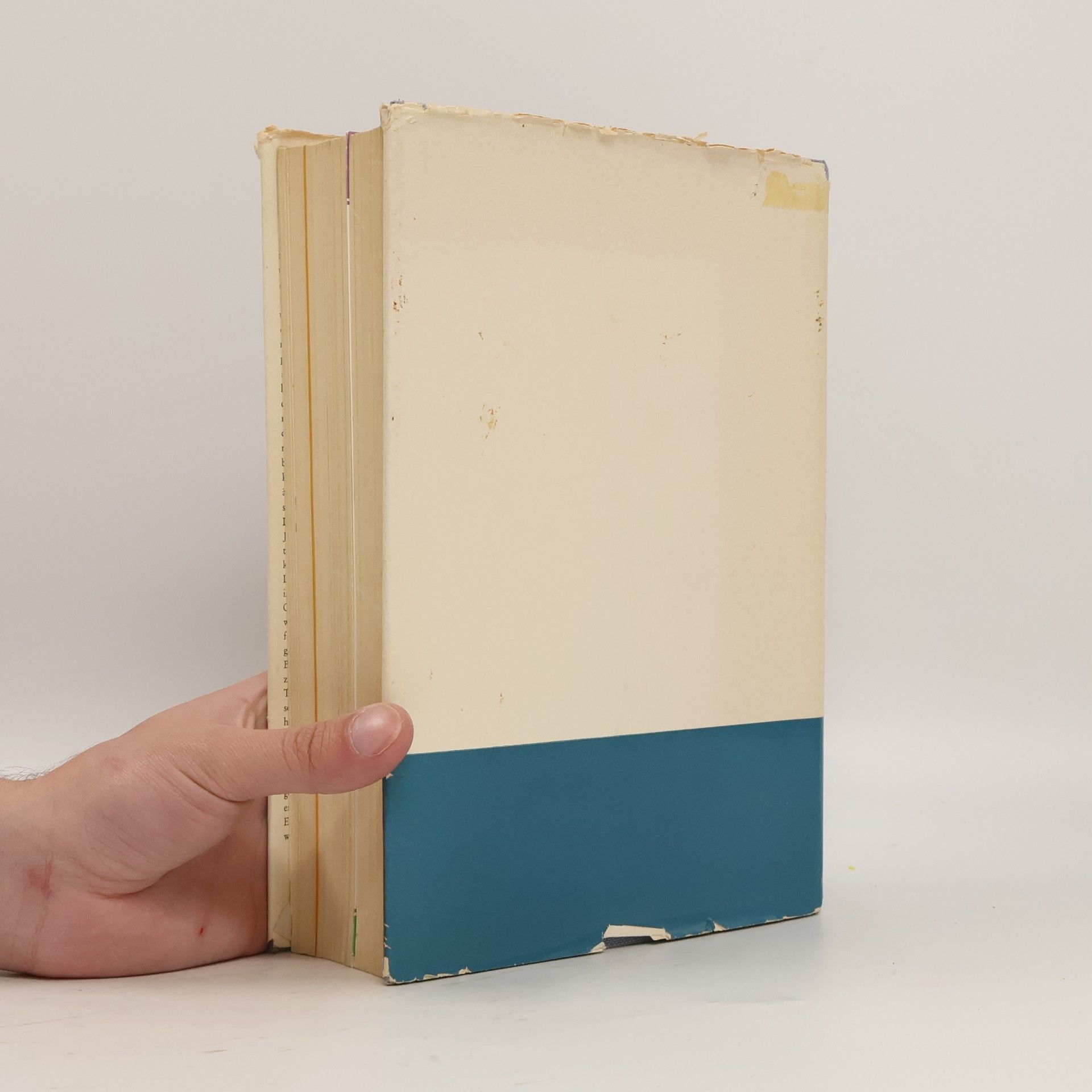 Autorenkollektiv Das Neue Gesundheitsbuch