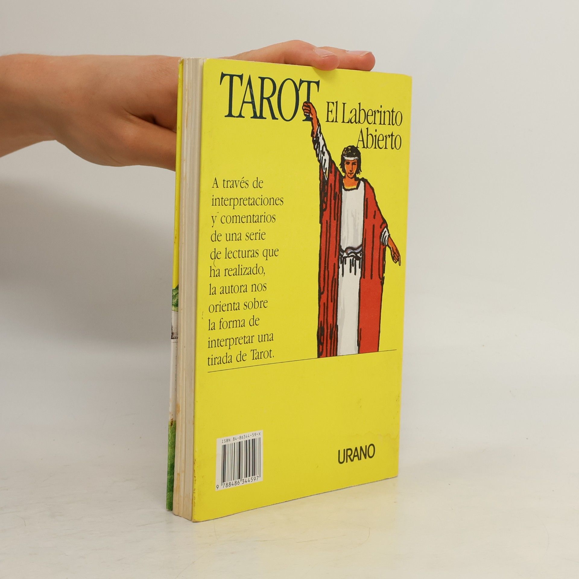 Rachel Pollack Tarot