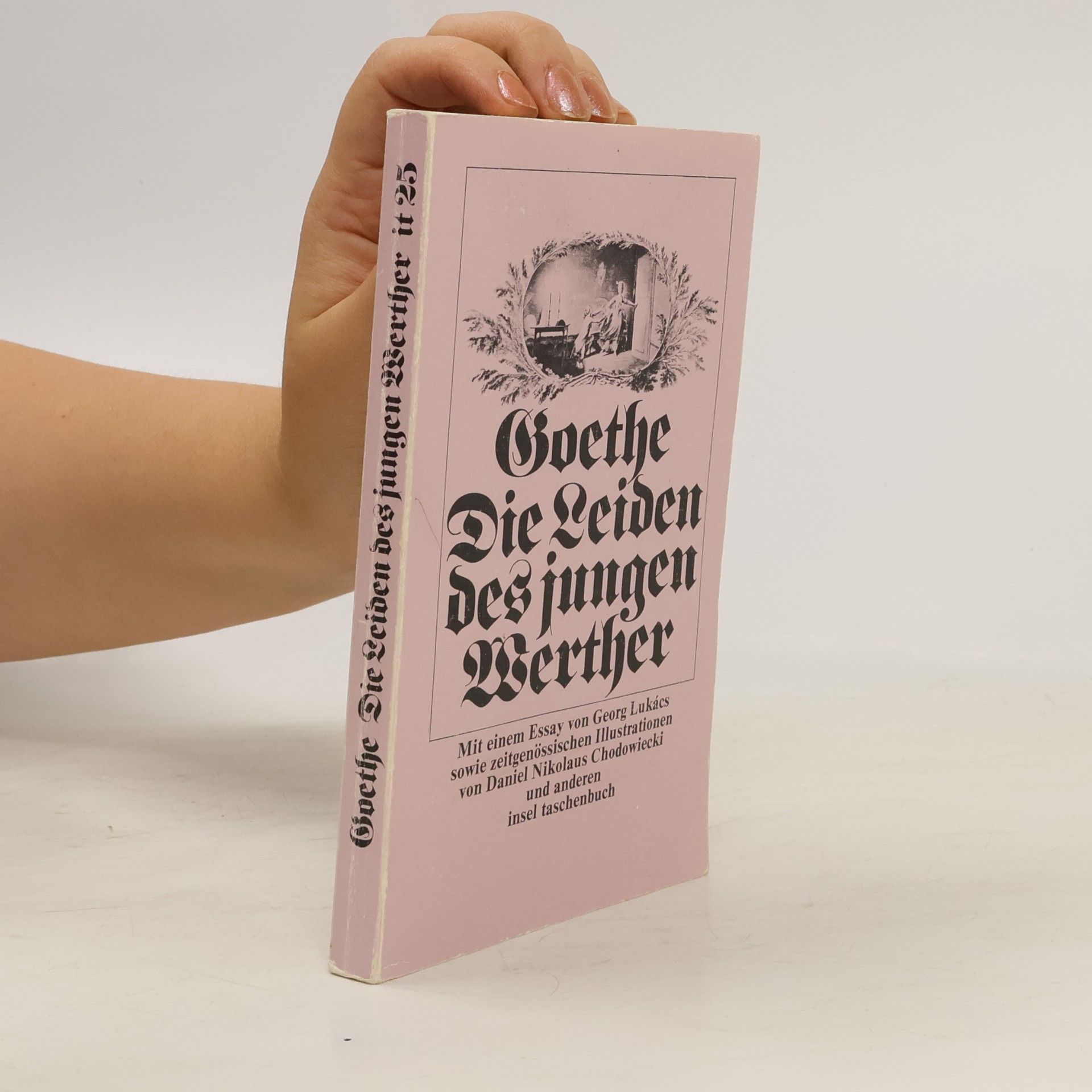 Johann Wolfgang von Goethe Die Leiden des jungen Werther