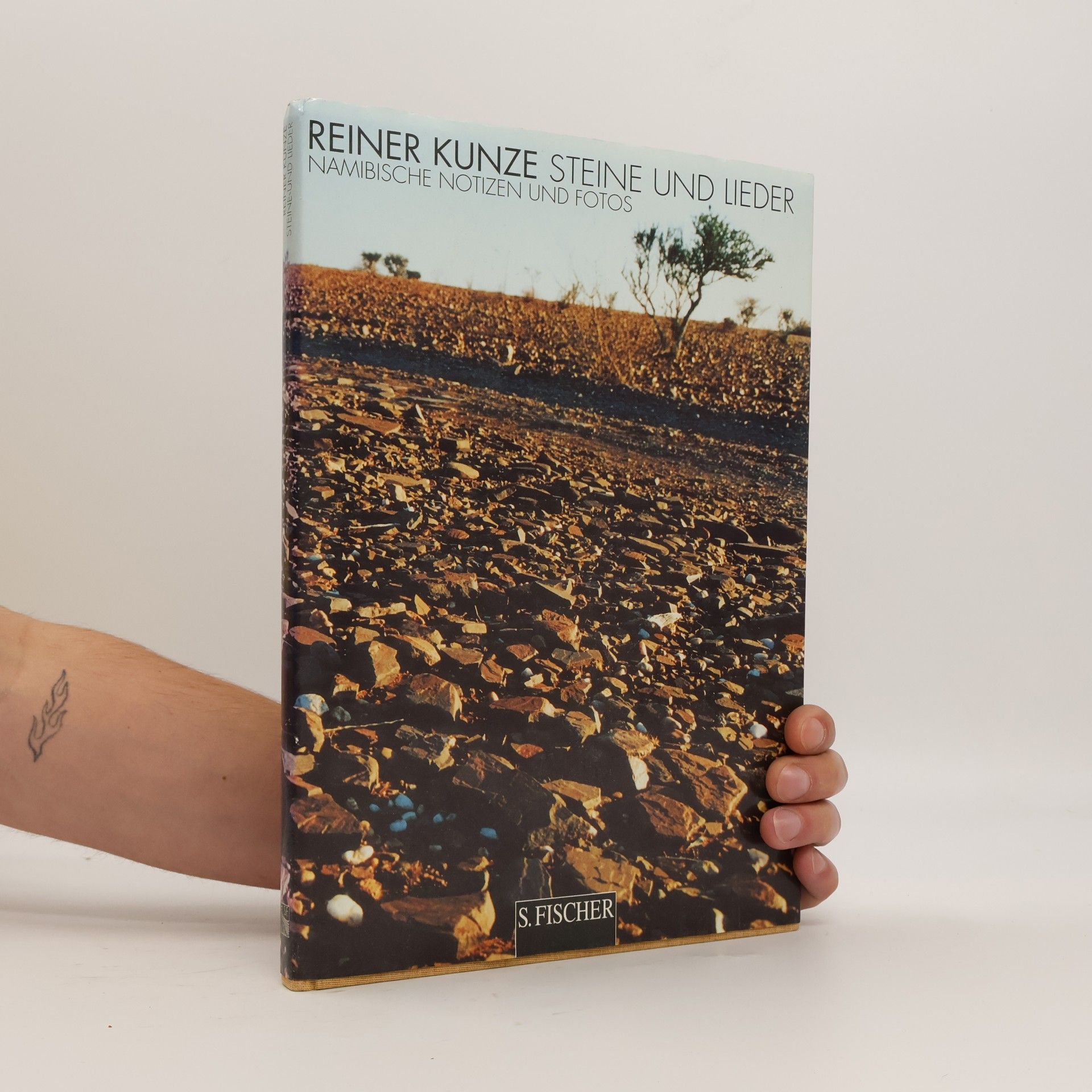 Reiner Kunze Steine und Lieder