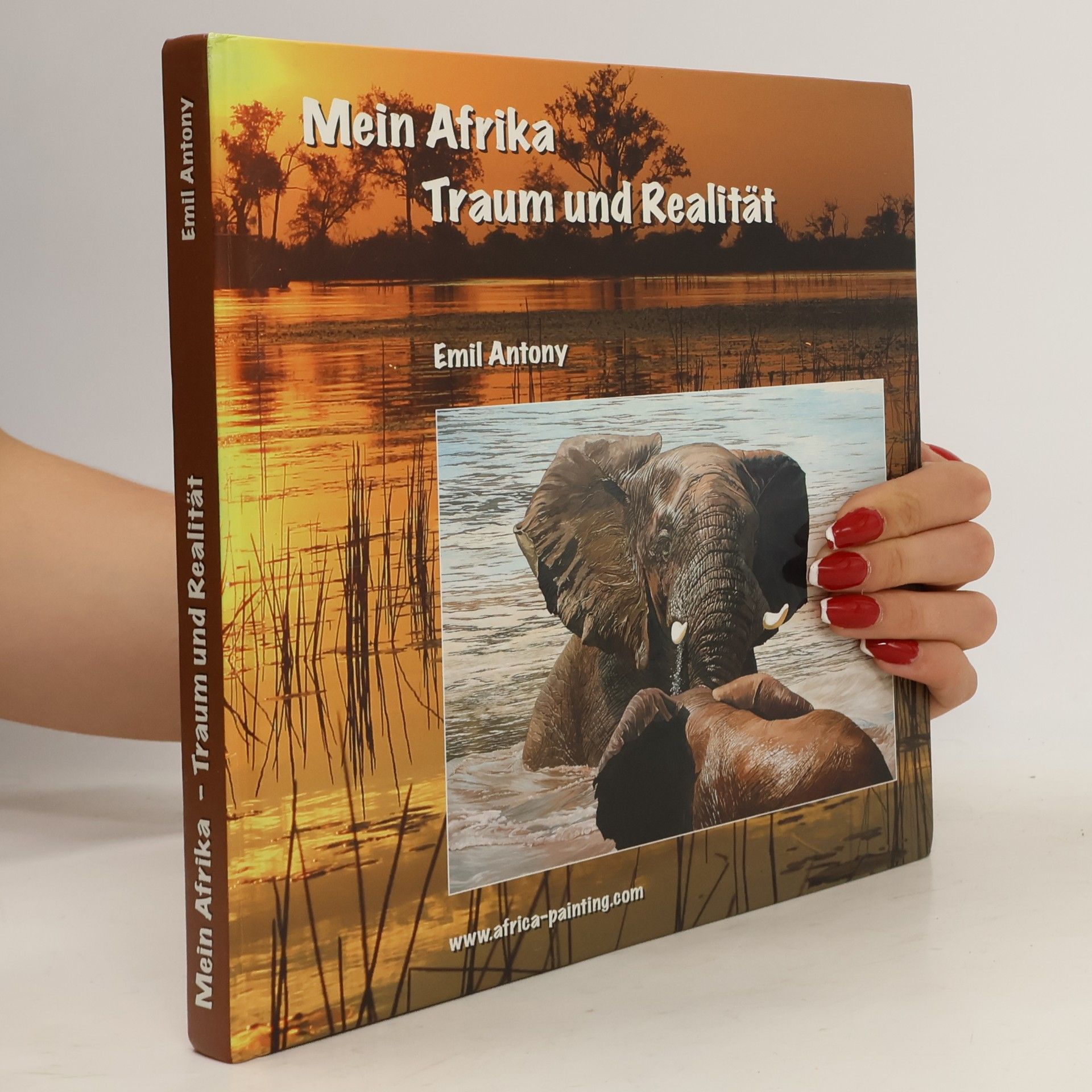 Emil Antony Mein Afrika - Traum und Realität