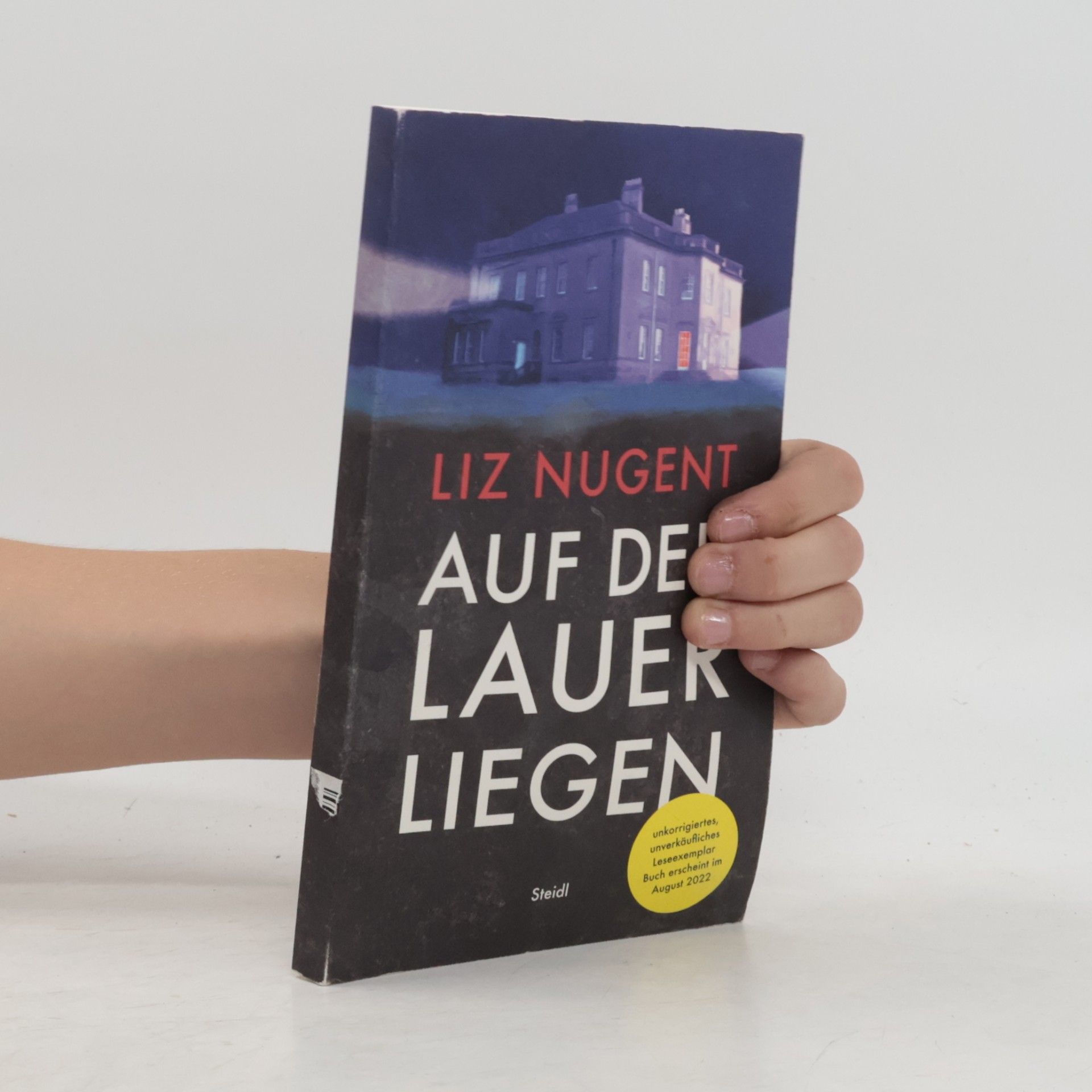 Liz Nugent Auf der Lauer liegen
