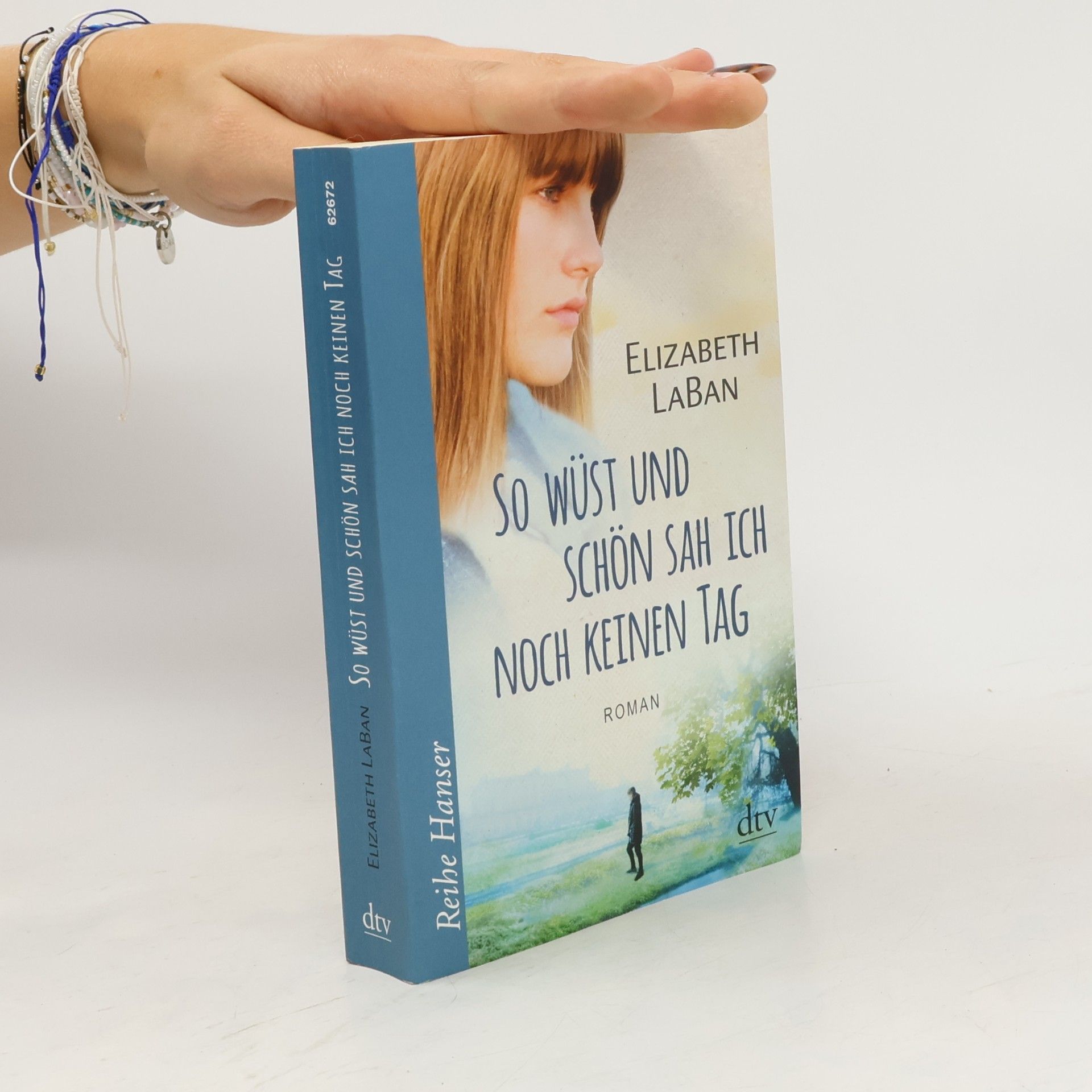 Elizabeth LaBan So wüst und schön sah ich noch keinen Tag