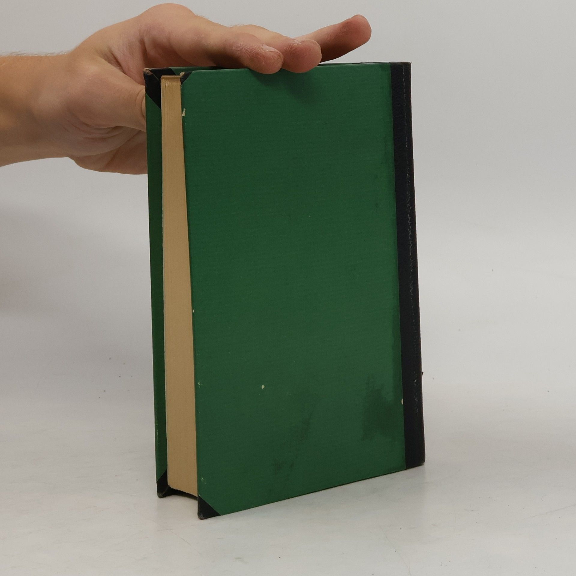 Martin Wackernagel Schriften zur Kunst 18. Geothes Sämtliche Werke