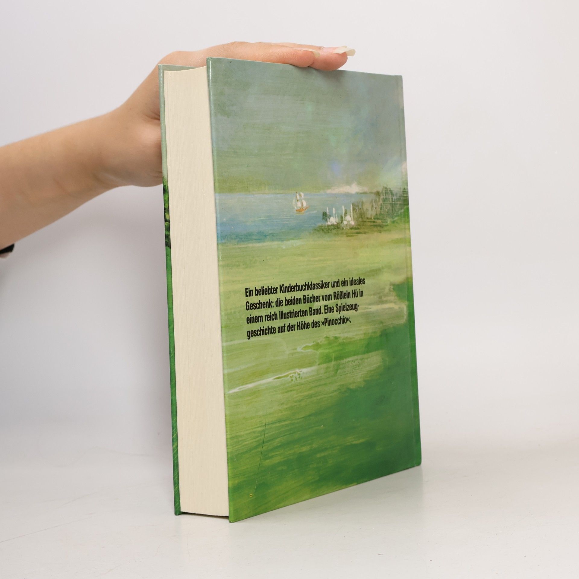 Ursula Moray Williams Das große Buch vom Rößlein Hü