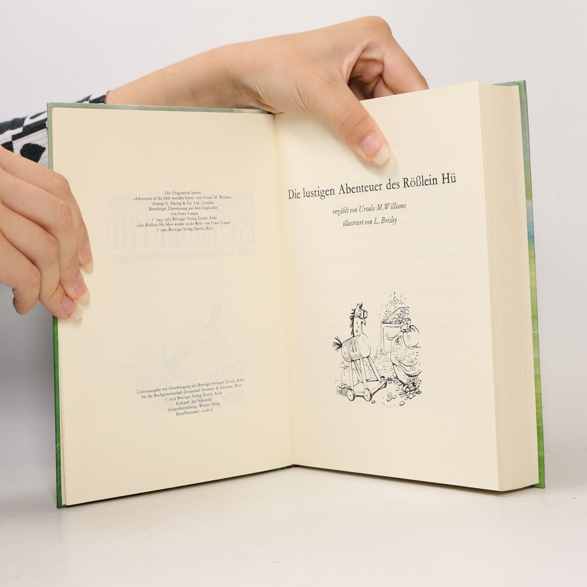 Ursula Moray Williams Das große Buch vom Rößlein Hü
