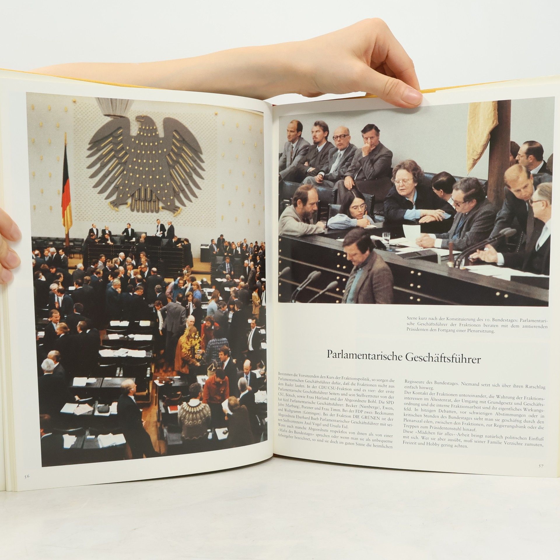 Helmut Herles Der Deutsche Bundestag