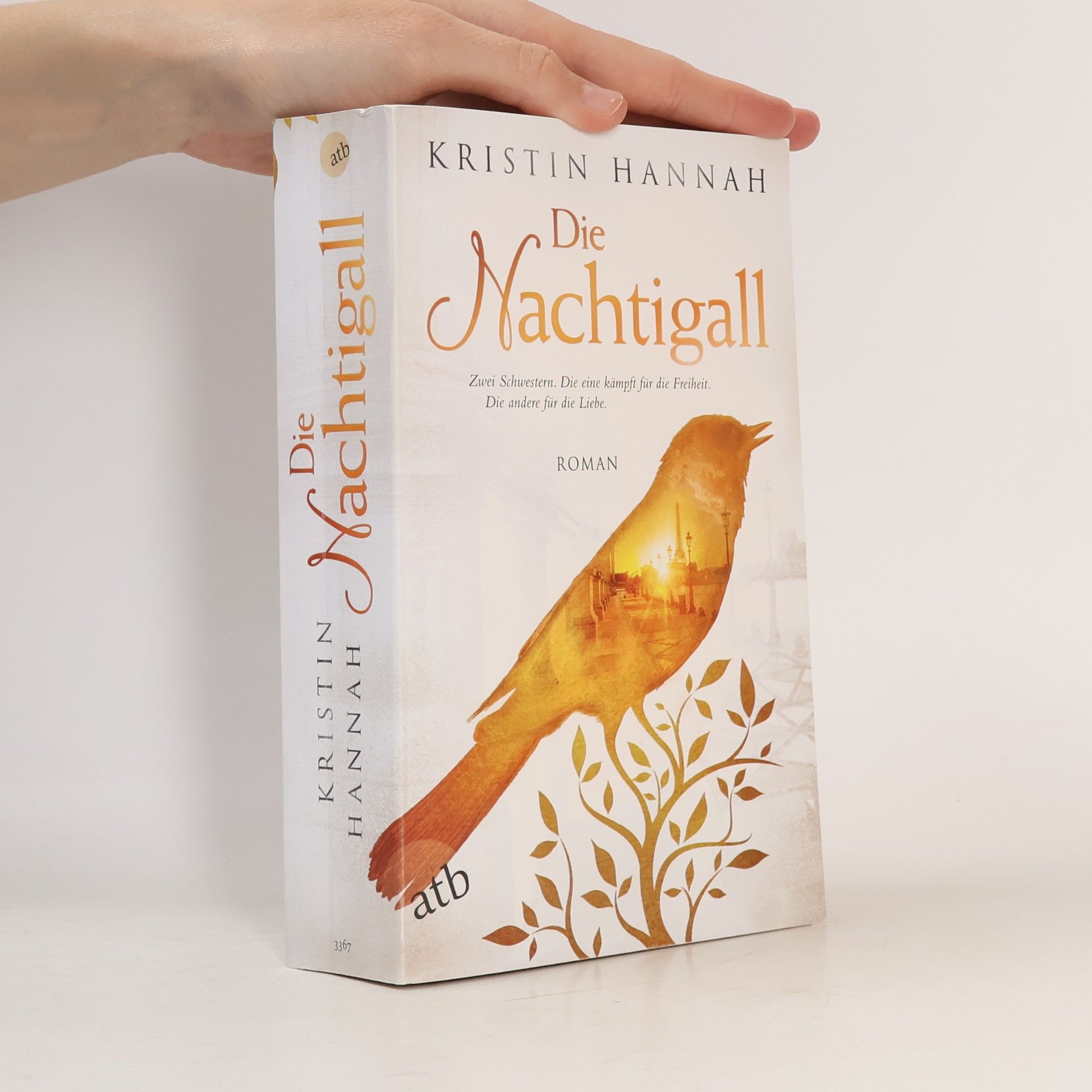 Kristin Hannah Die Nachtigall