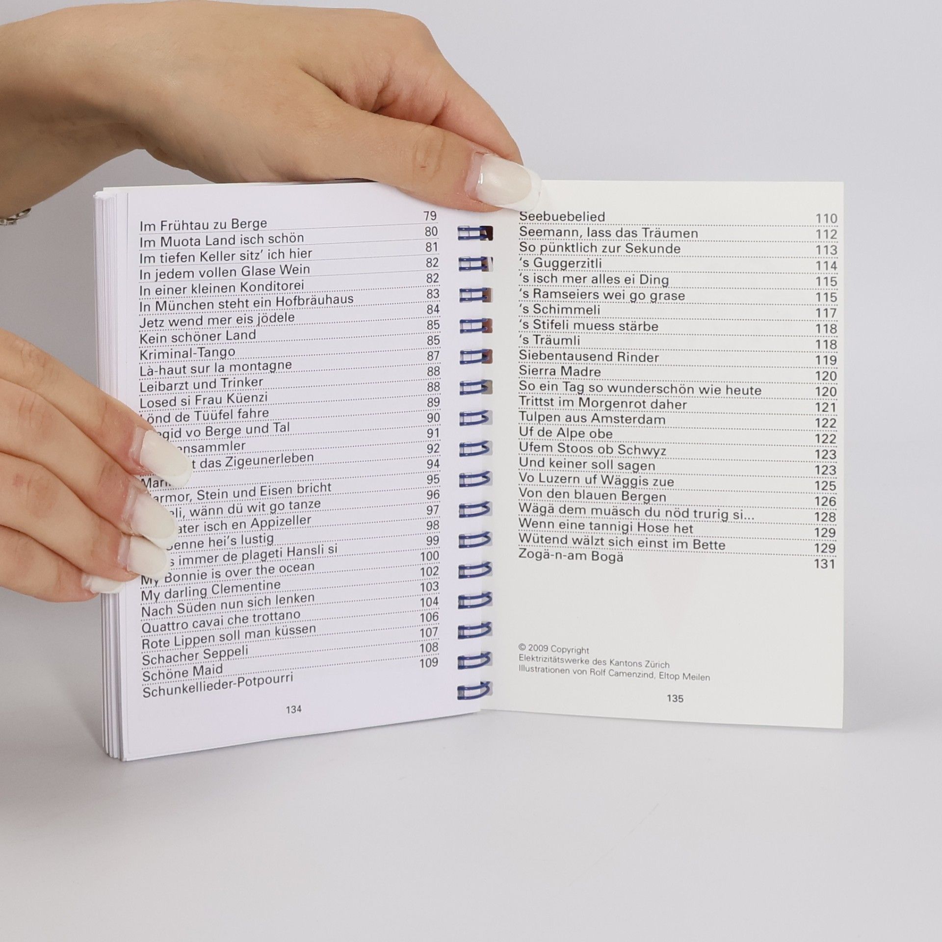 kolektiv Liederbuch – Banner Zug