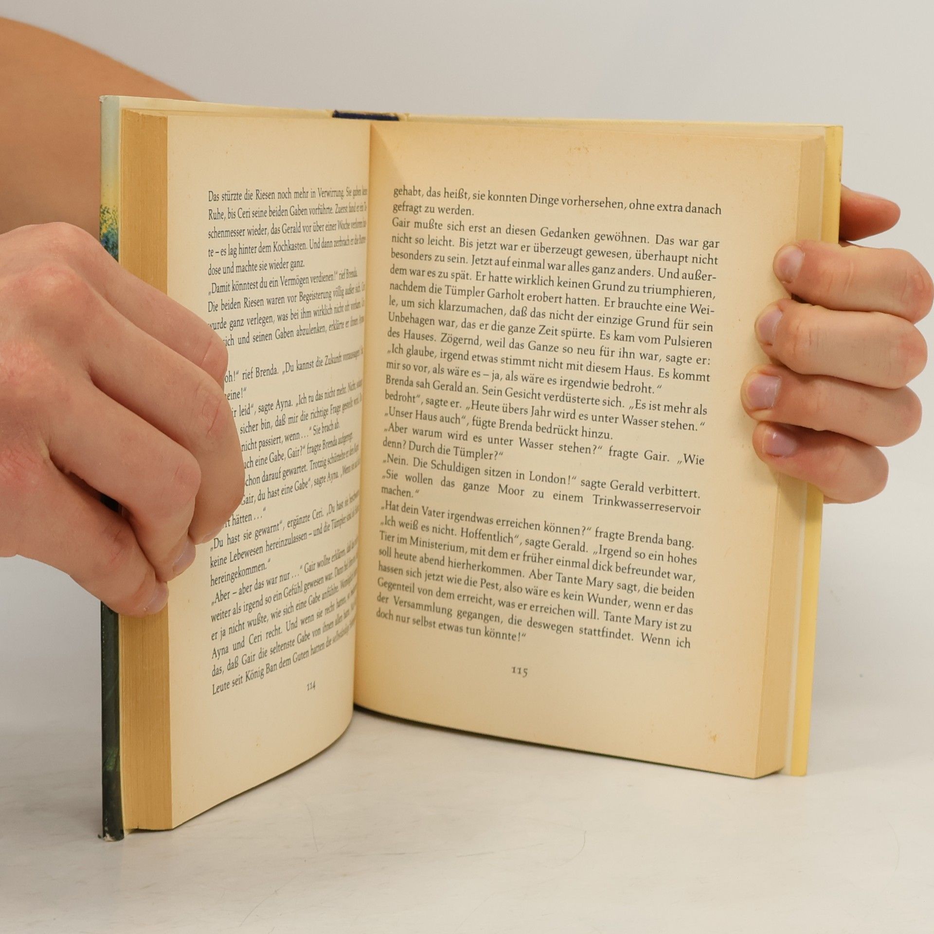 Diana Wynne Jones Der Fluch des Ringes