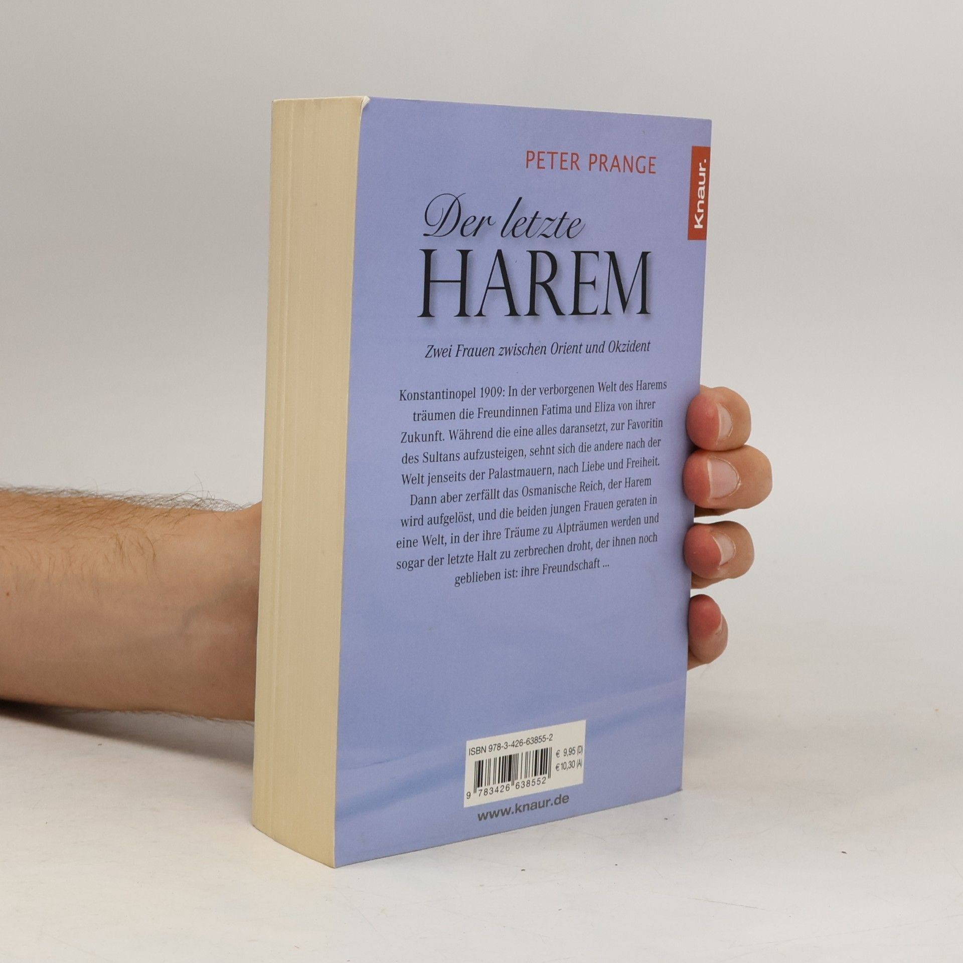 Peter Prange Der letzte Harem