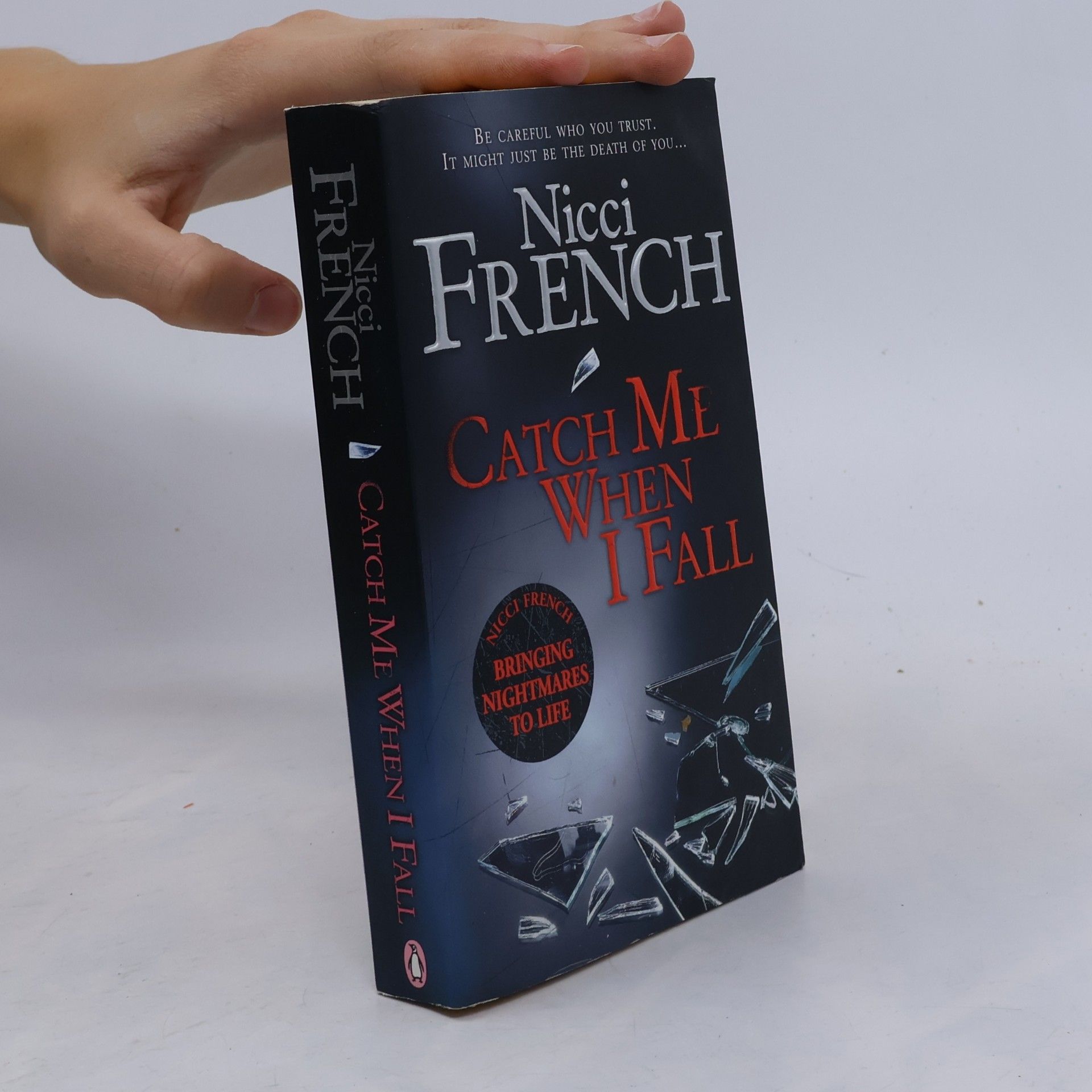 Catch Me when I Fall