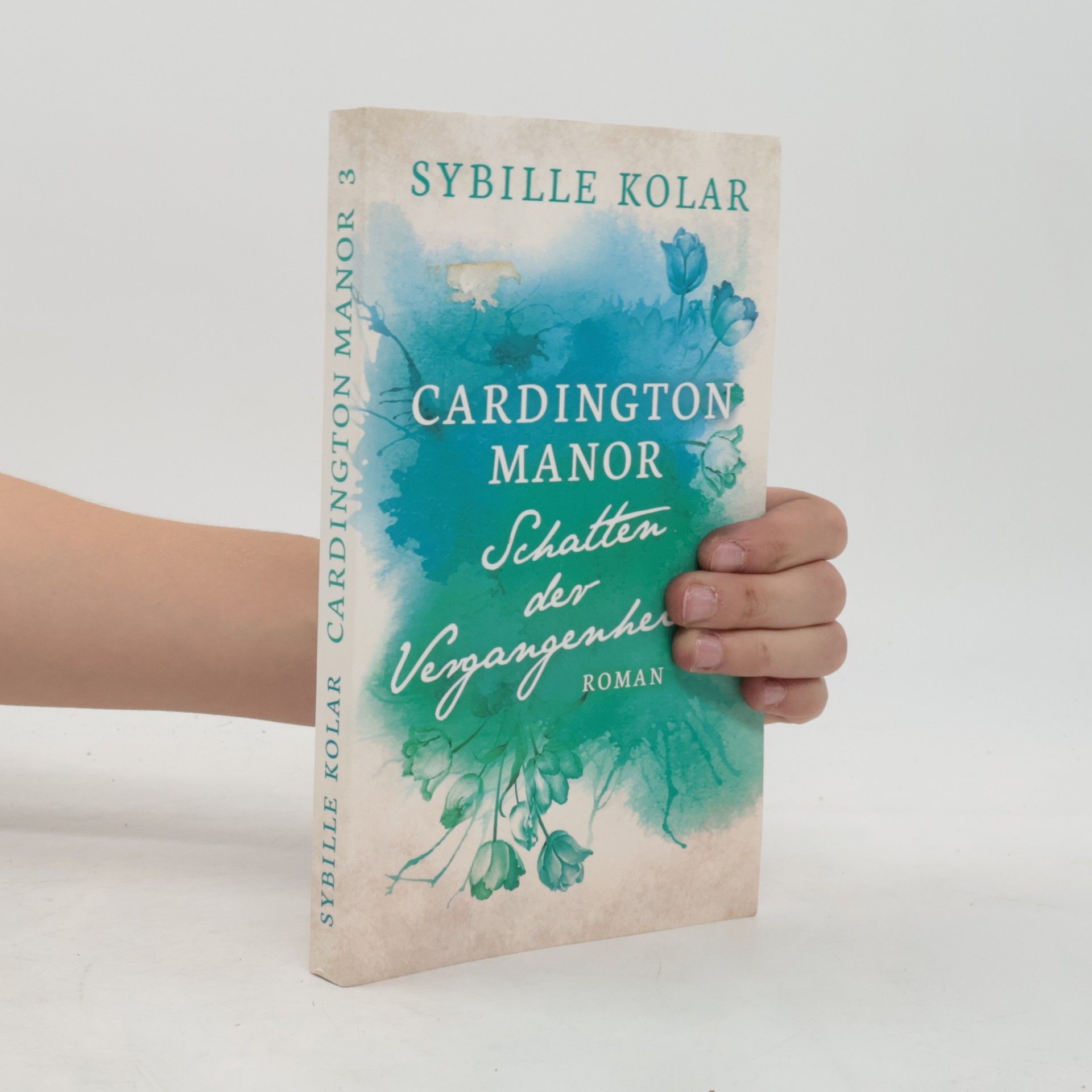 Sybille Kolar Schatten der Vergangenheit