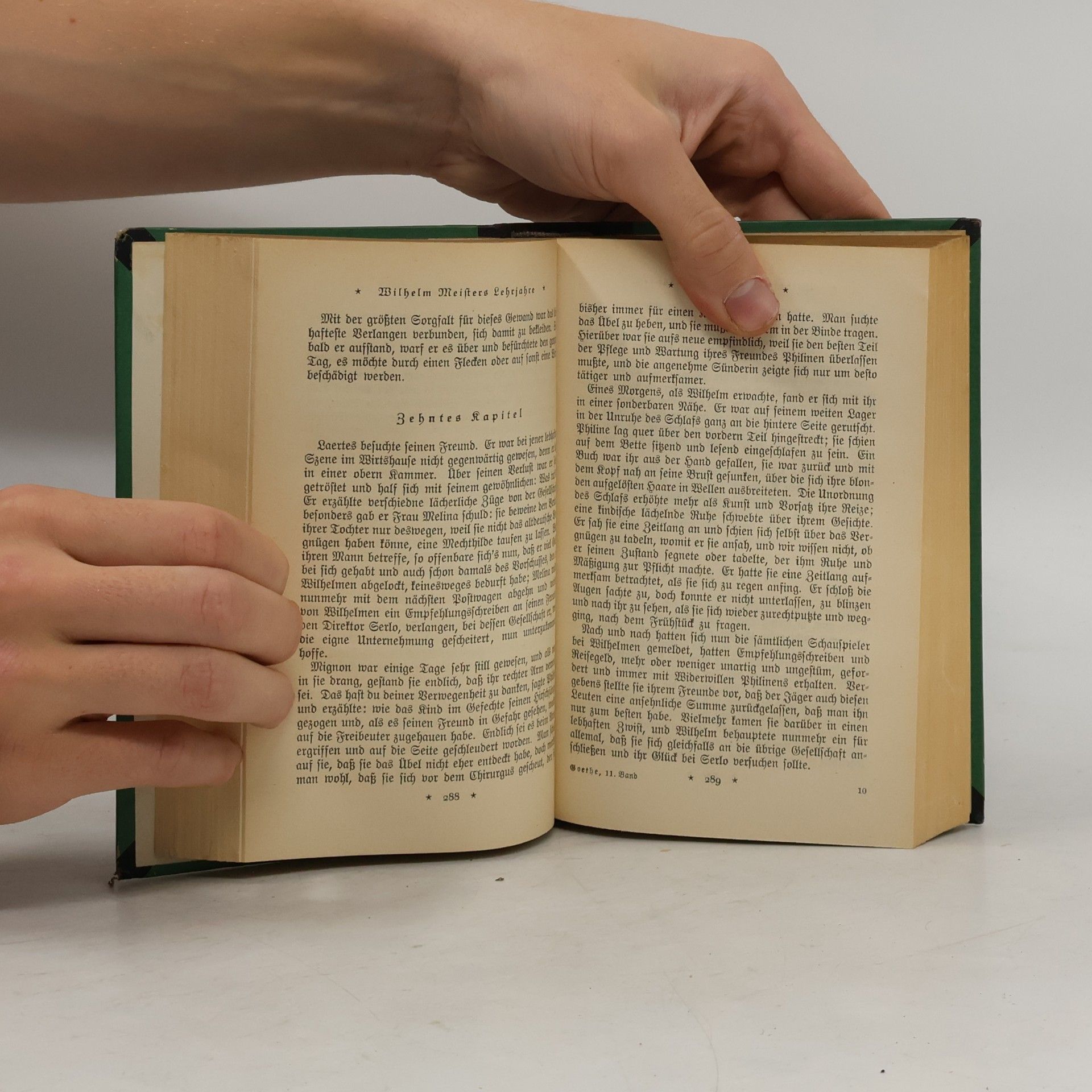 Goethe Wilhelm Meisters Lehrjahre