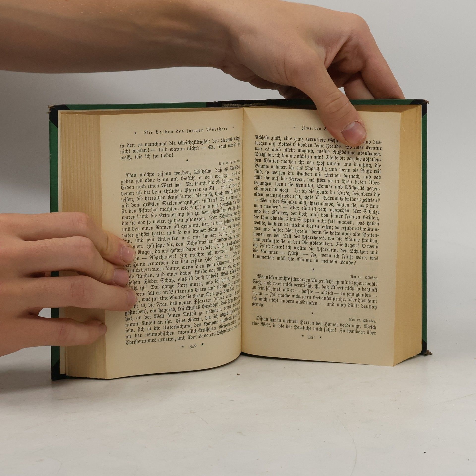 Johann Wolfgang von Goethe Jugendprosa, Romane, Novellen
