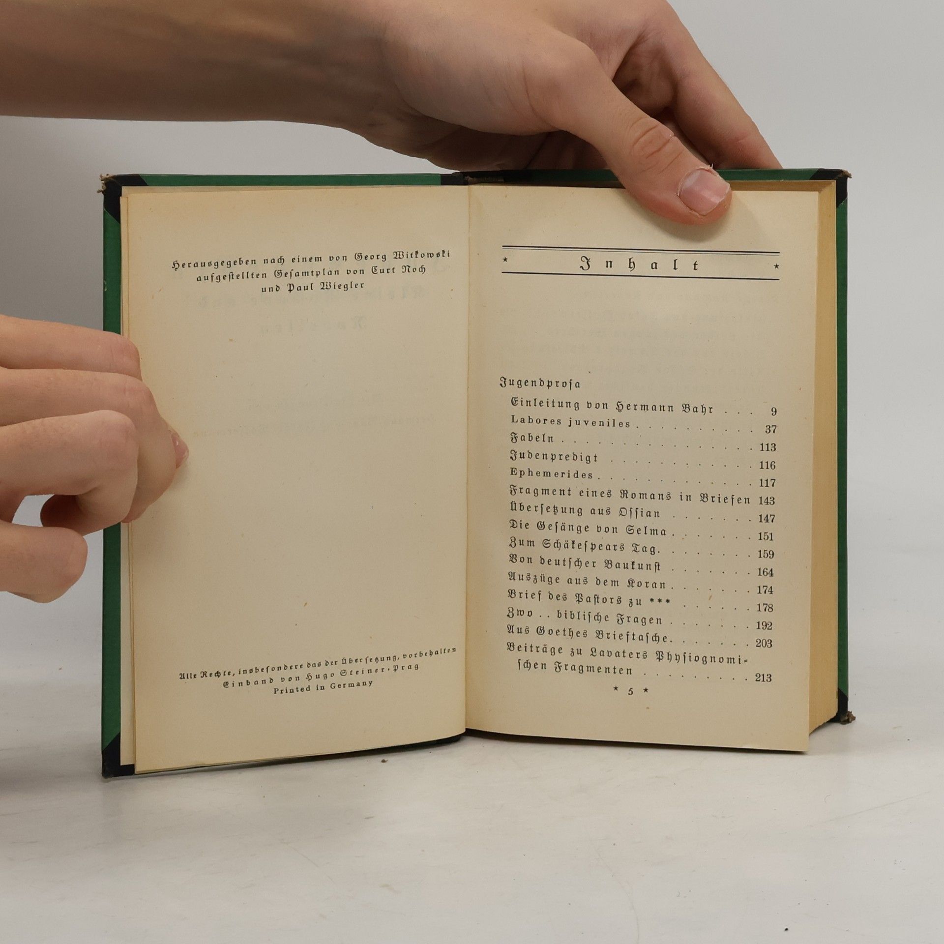 Johann Wolfgang von Goethe Jugendprosa, Romane, Novellen