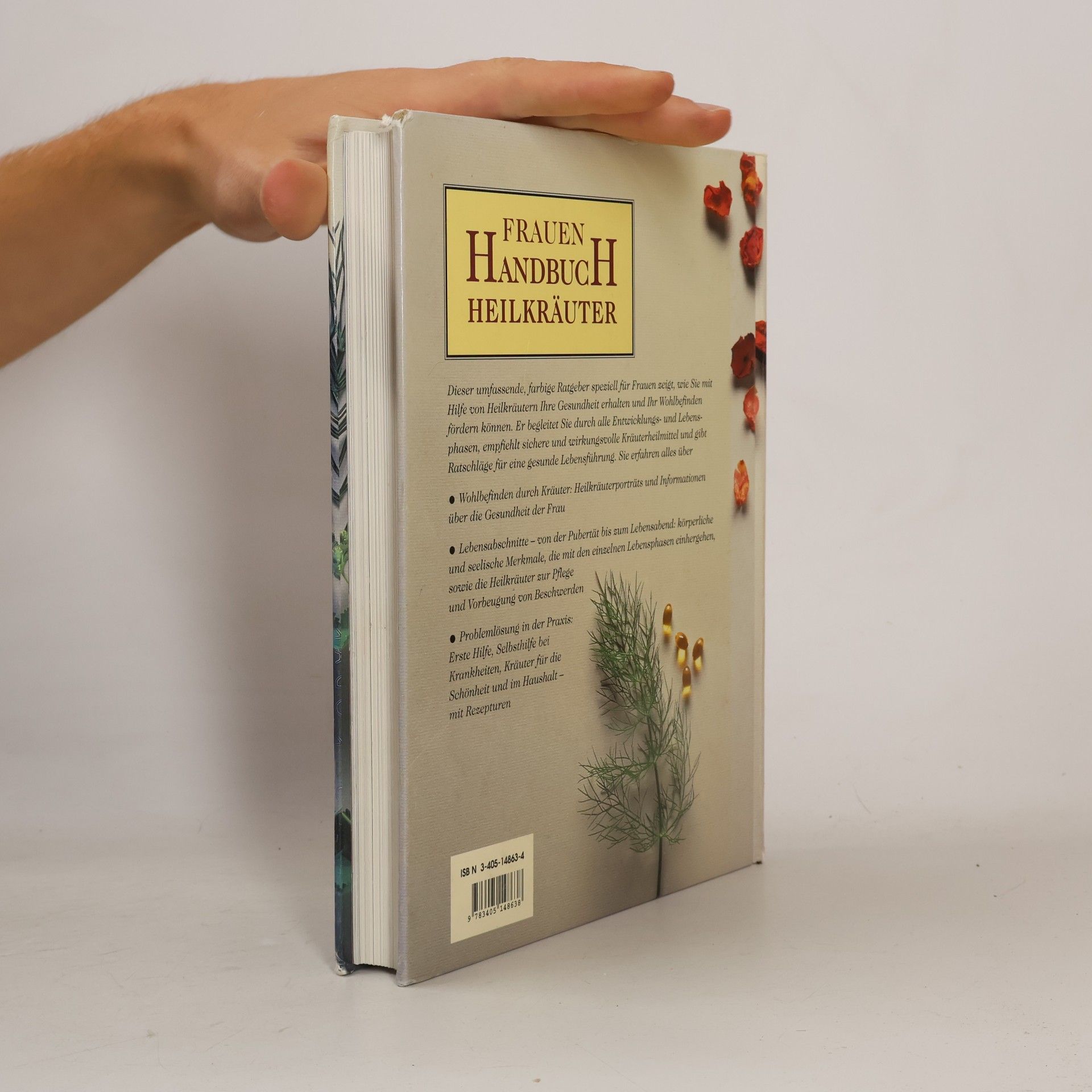 Anne McIntyre Frauen-Handbuch Heilkräuter