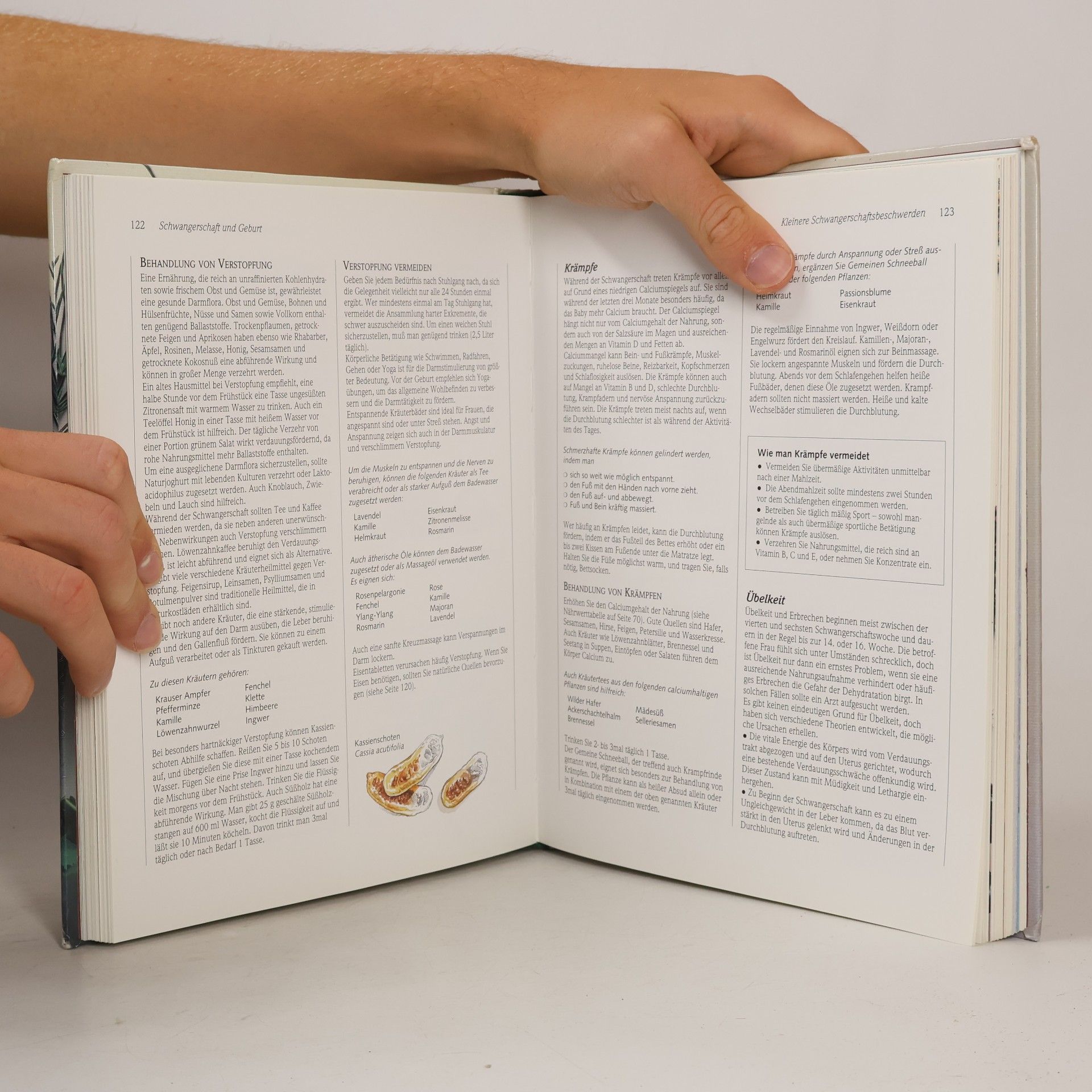 Anne McIntyre Frauen-Handbuch Heilkräuter