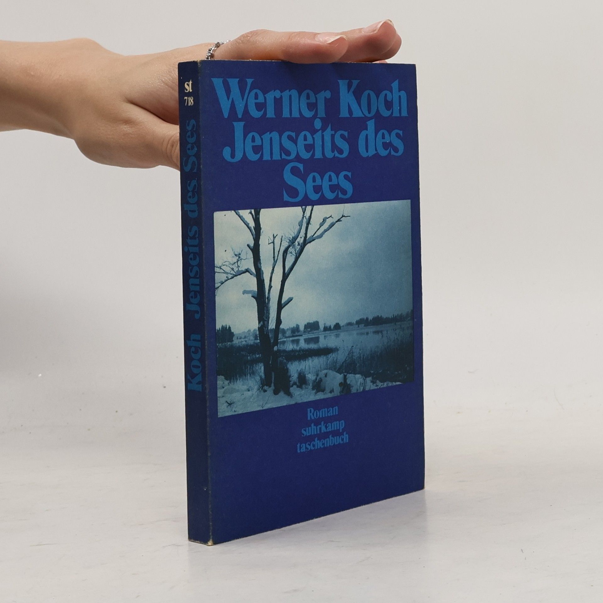 Werner Koch Jenseits des Sees. Roman