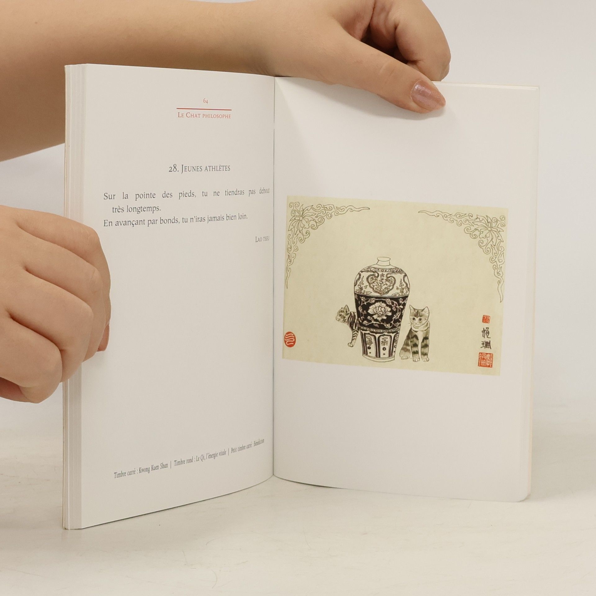 Kuen Shan Kwong Pocket: Le Chat Philosophe