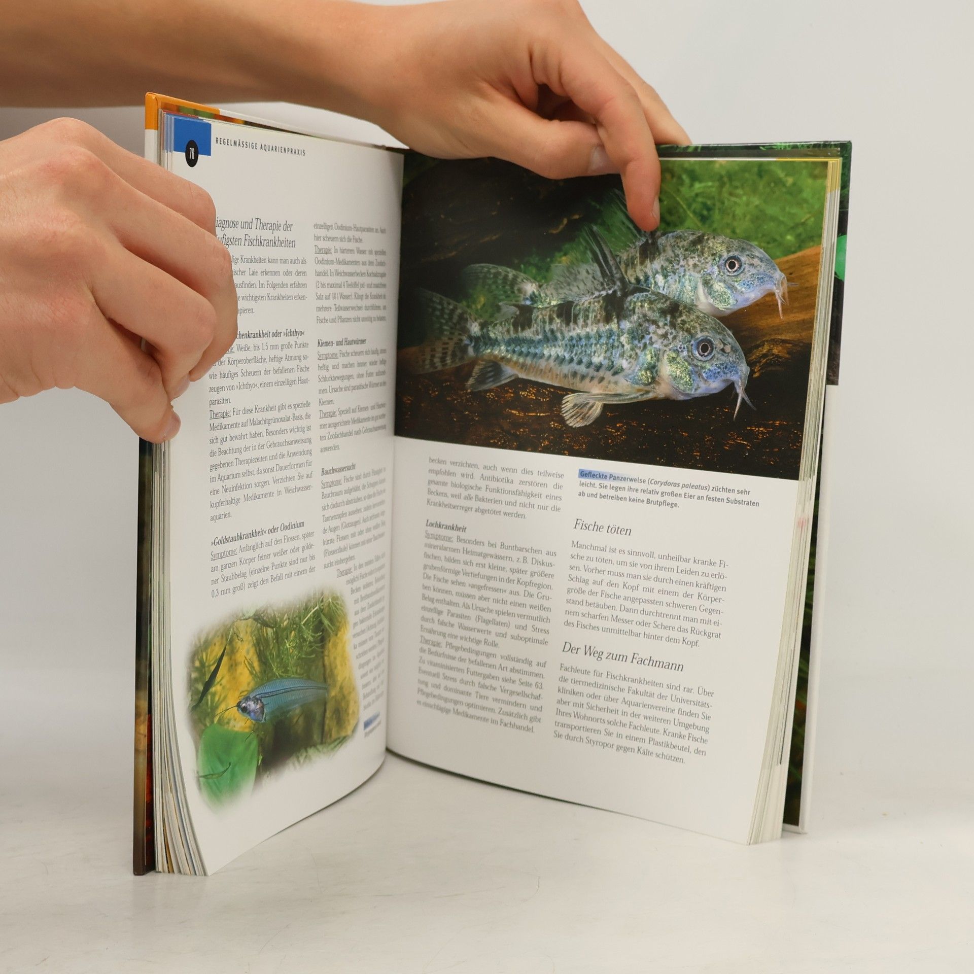 Ulrich K. Schliewen Einzigartige Aquarienwelt