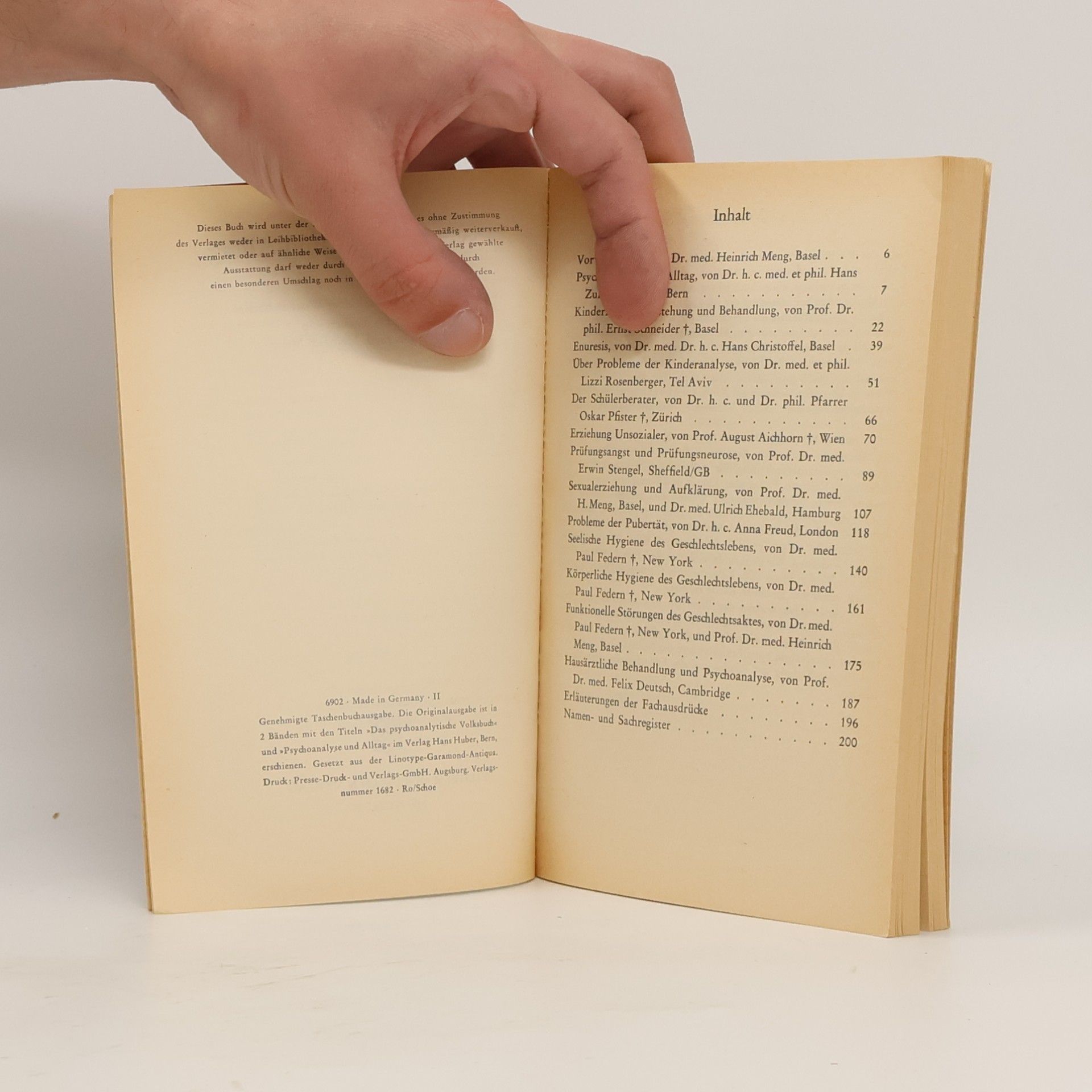 Heinrich Meng Psychoanalyse und Alltag