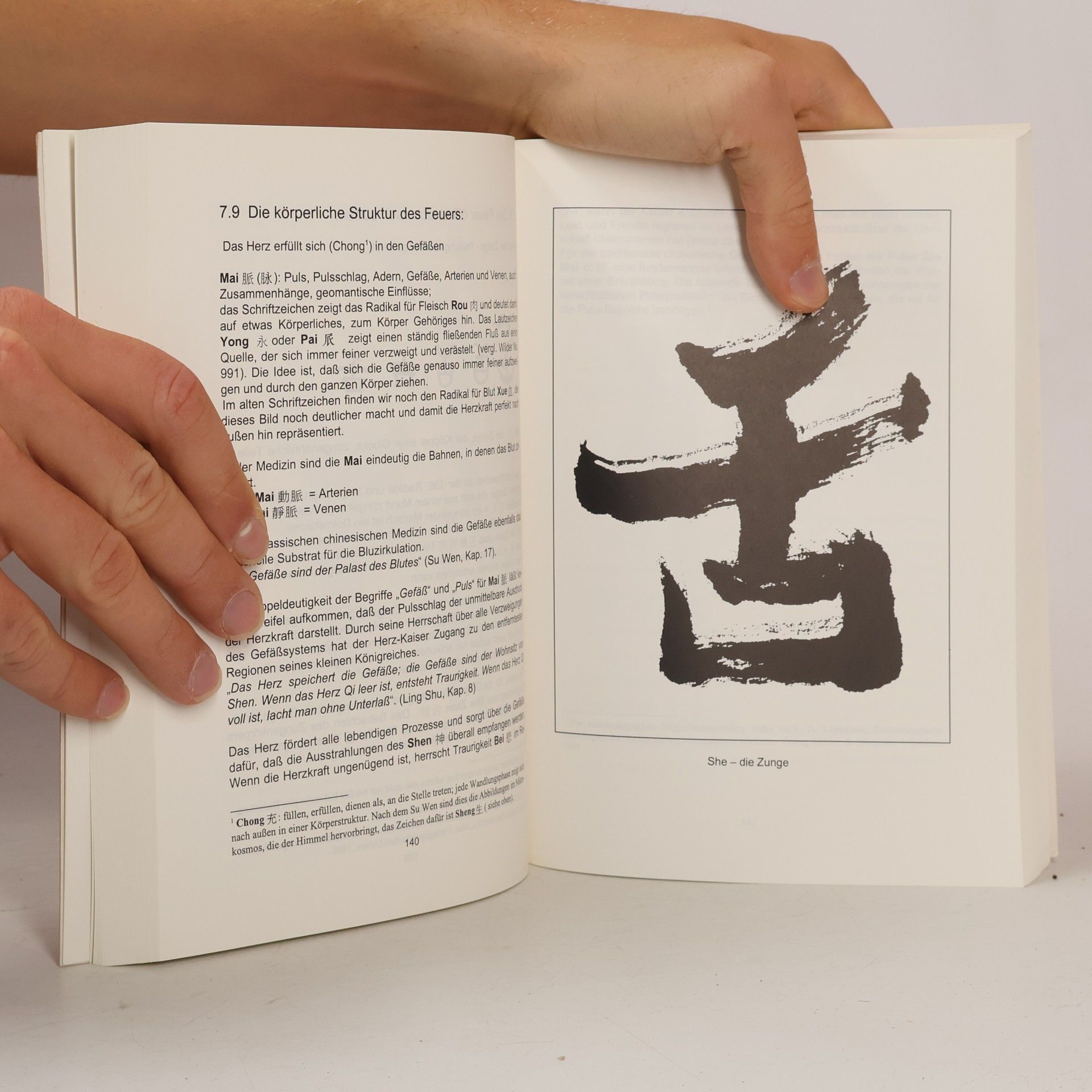 Andreas Noll Die Wandlungsphasen der traditionellen chinesischen Medizin 4–5