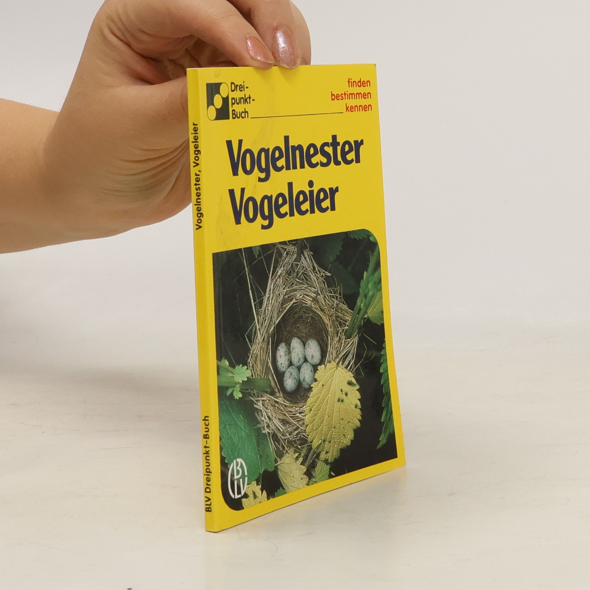 Vogelnester Vogeleier