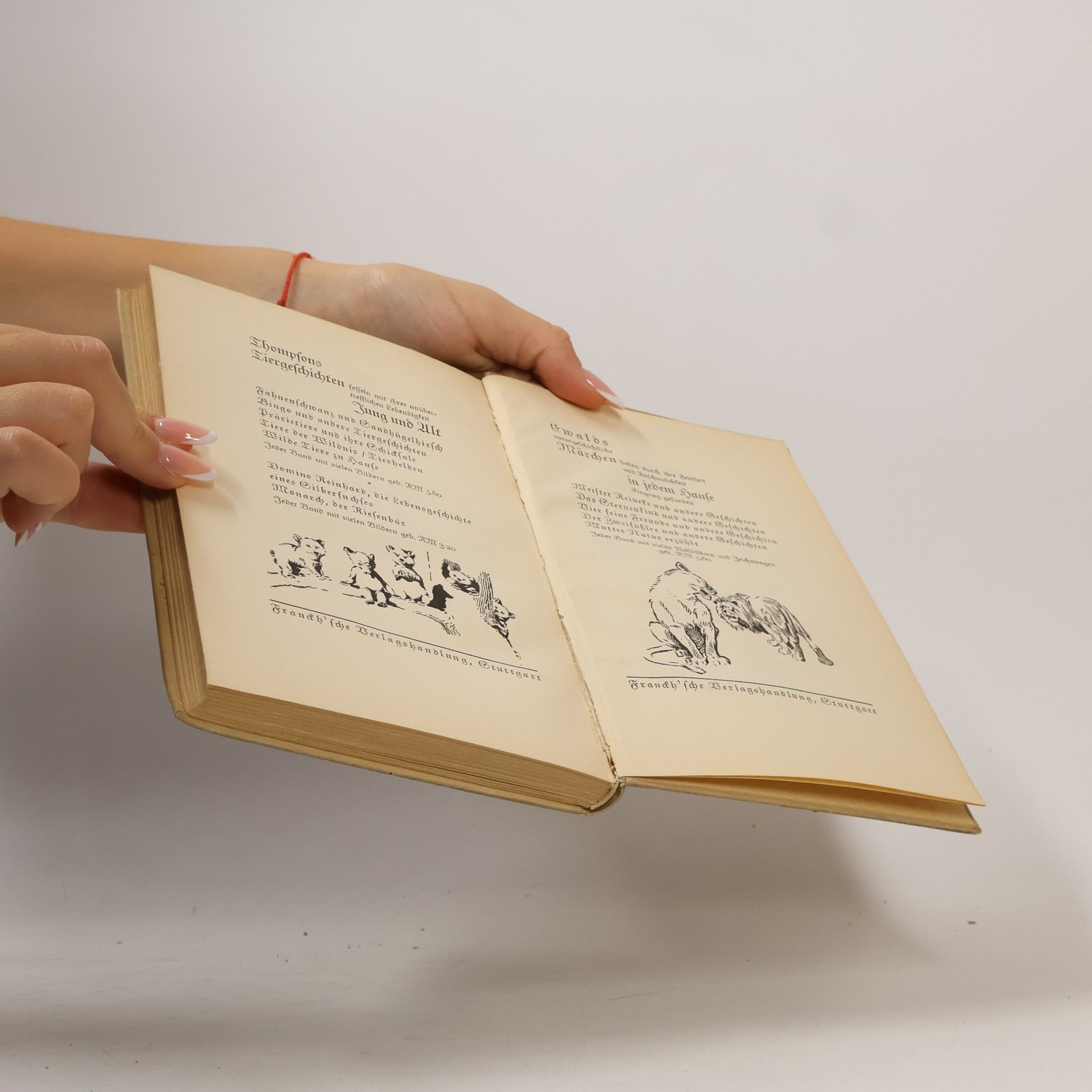 E. Marschall Muztagh, der weiße Elefant