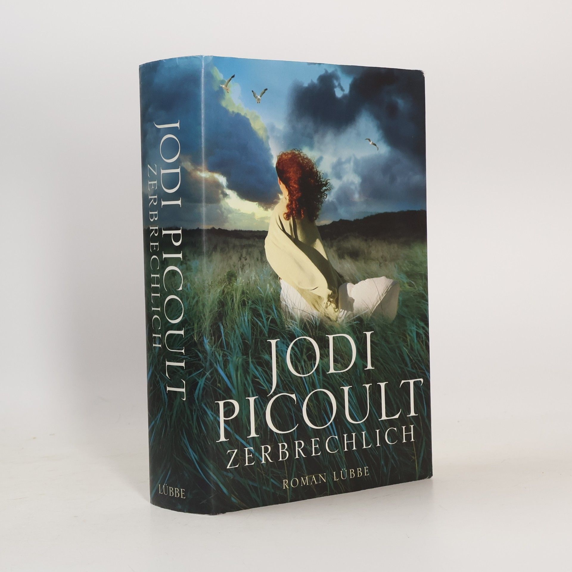Jodi Picoult Zerbrechlich