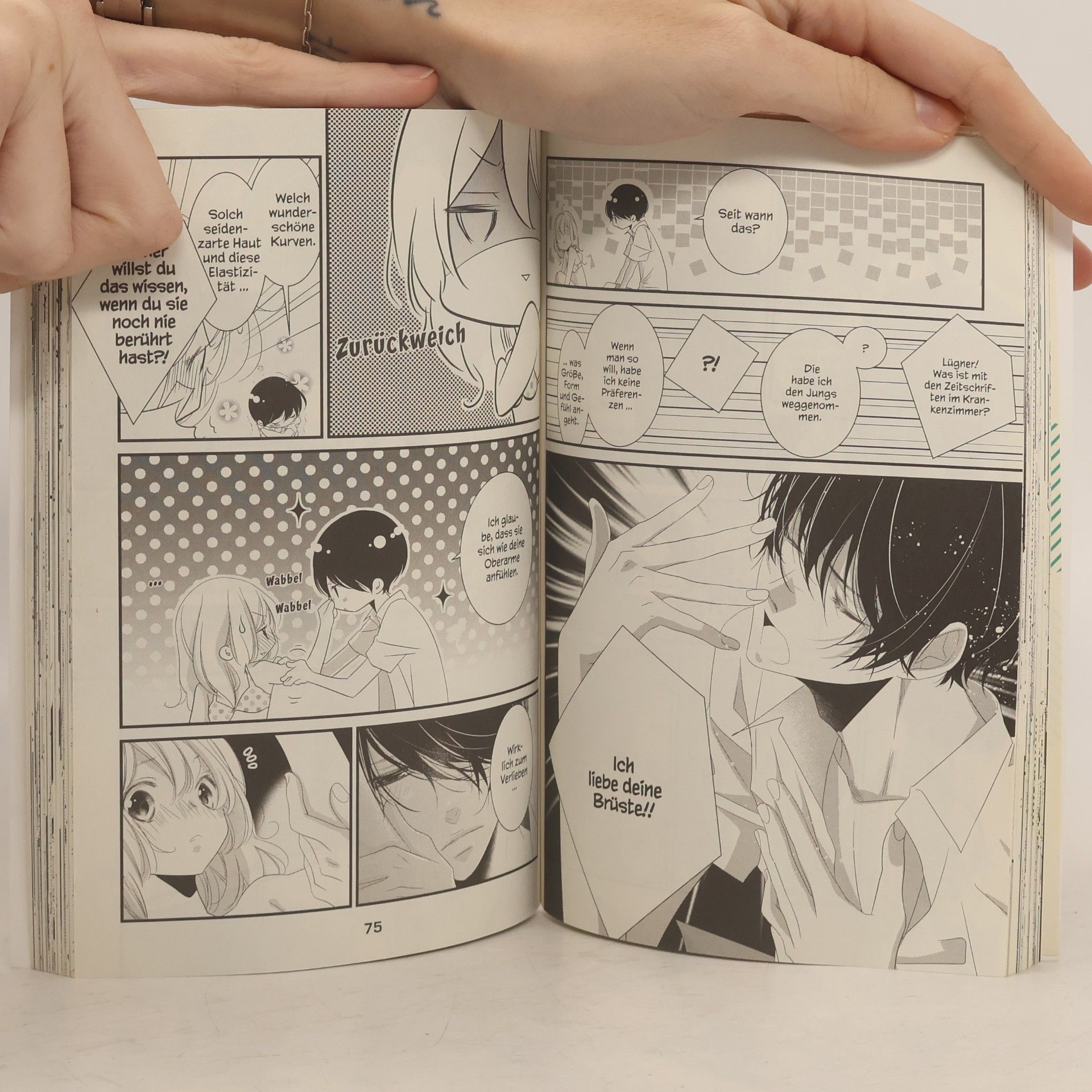 Hiro Aikawa Mikamis Liebensweise 3